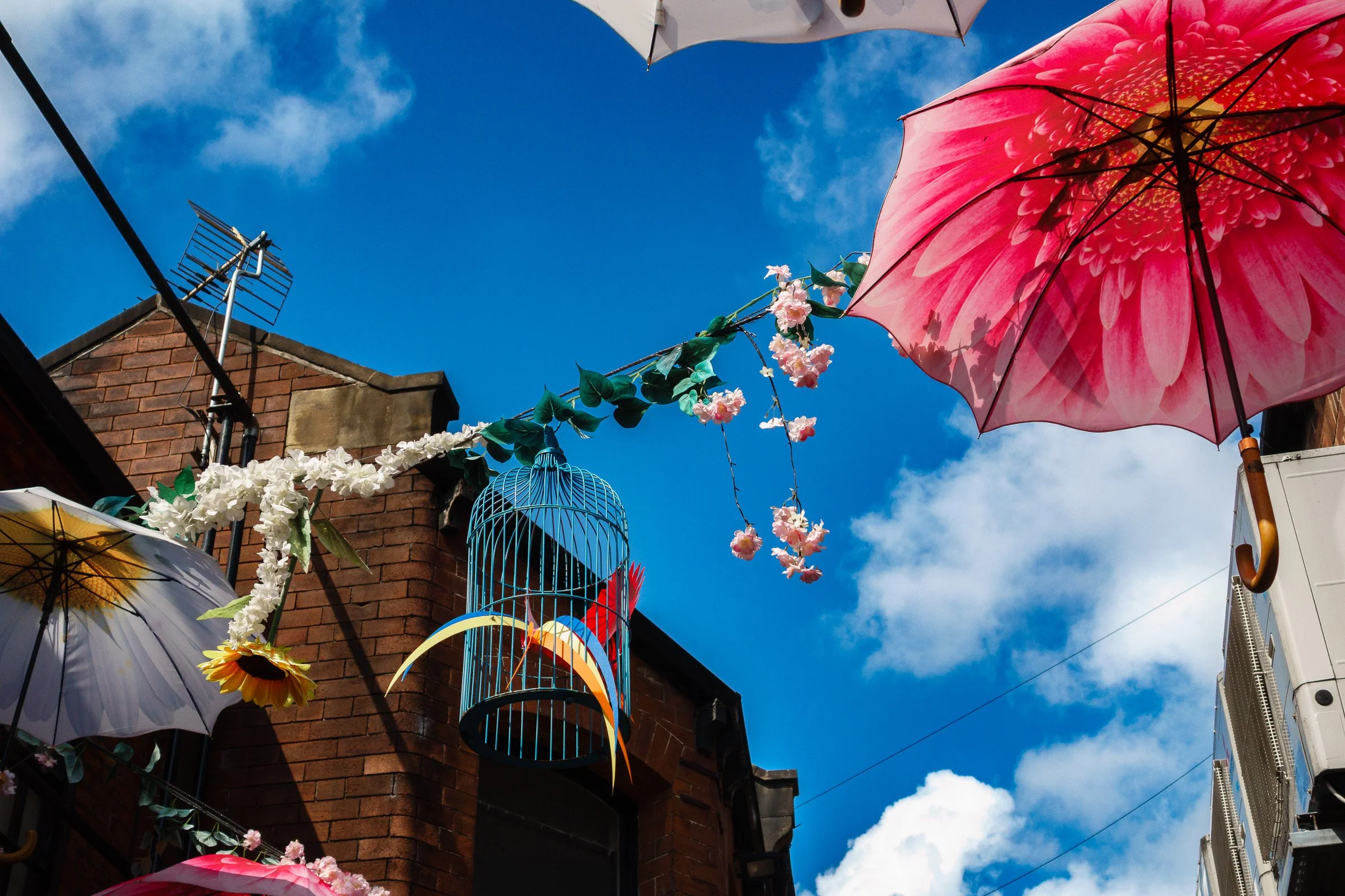 Bright pink and white umbrellas hanging outside on a sunny day, with a brick building and blue sky in the background.