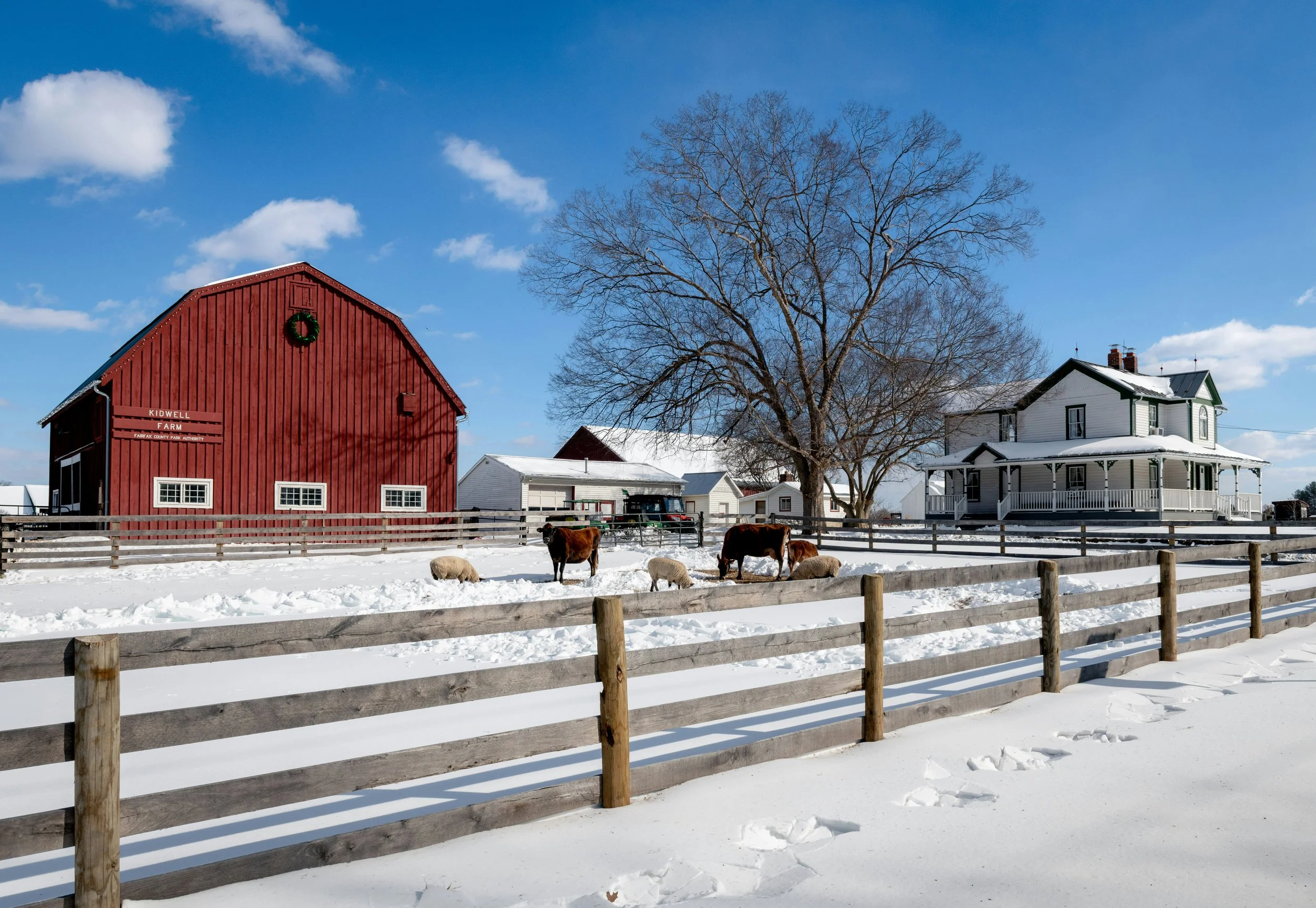 Why Serious Buyers Are Still Moving — And What That Means for Rural Sellers Right Now