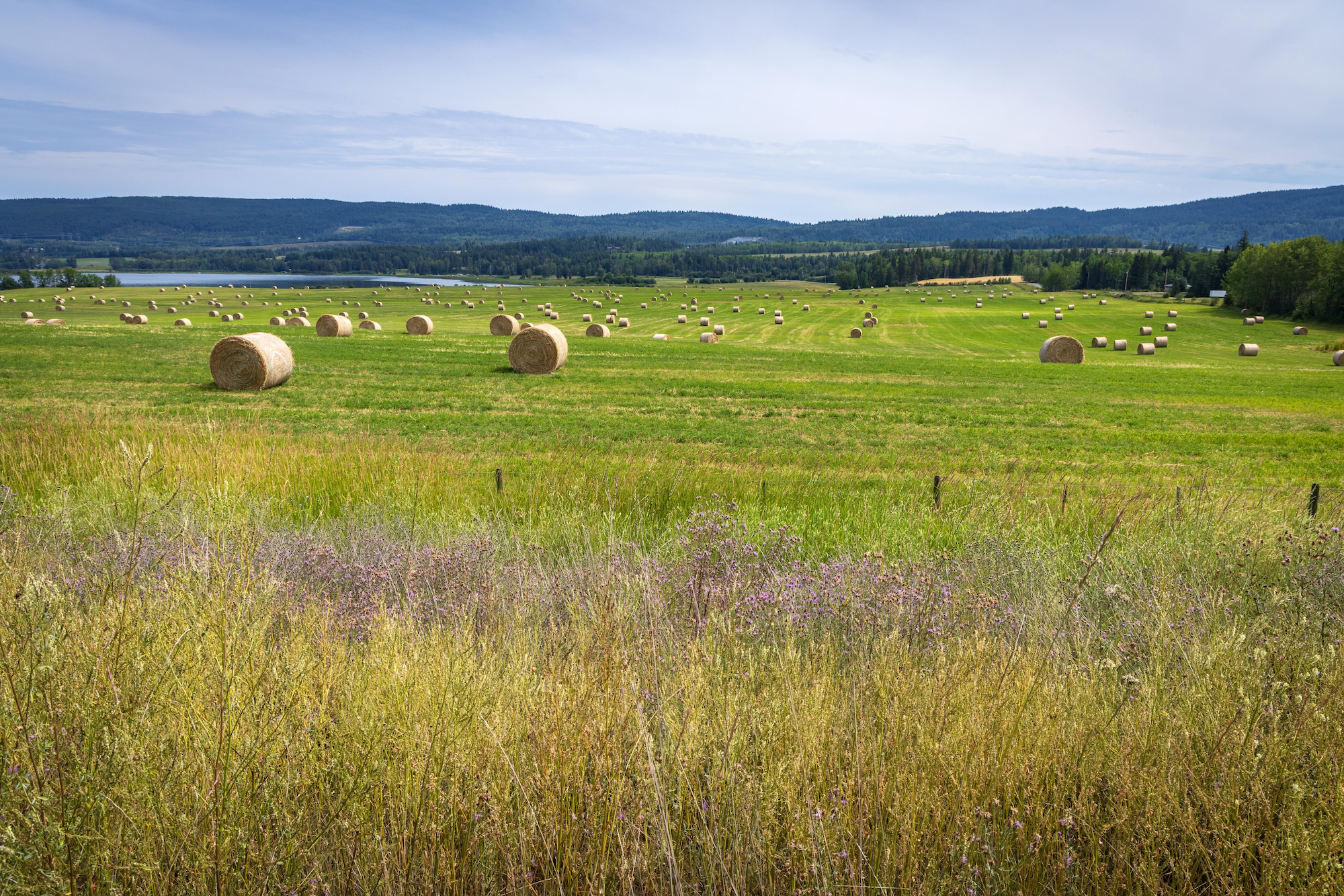 Living the South Peace Lifestyle: Why More Buyers Are Choosing Rural Living