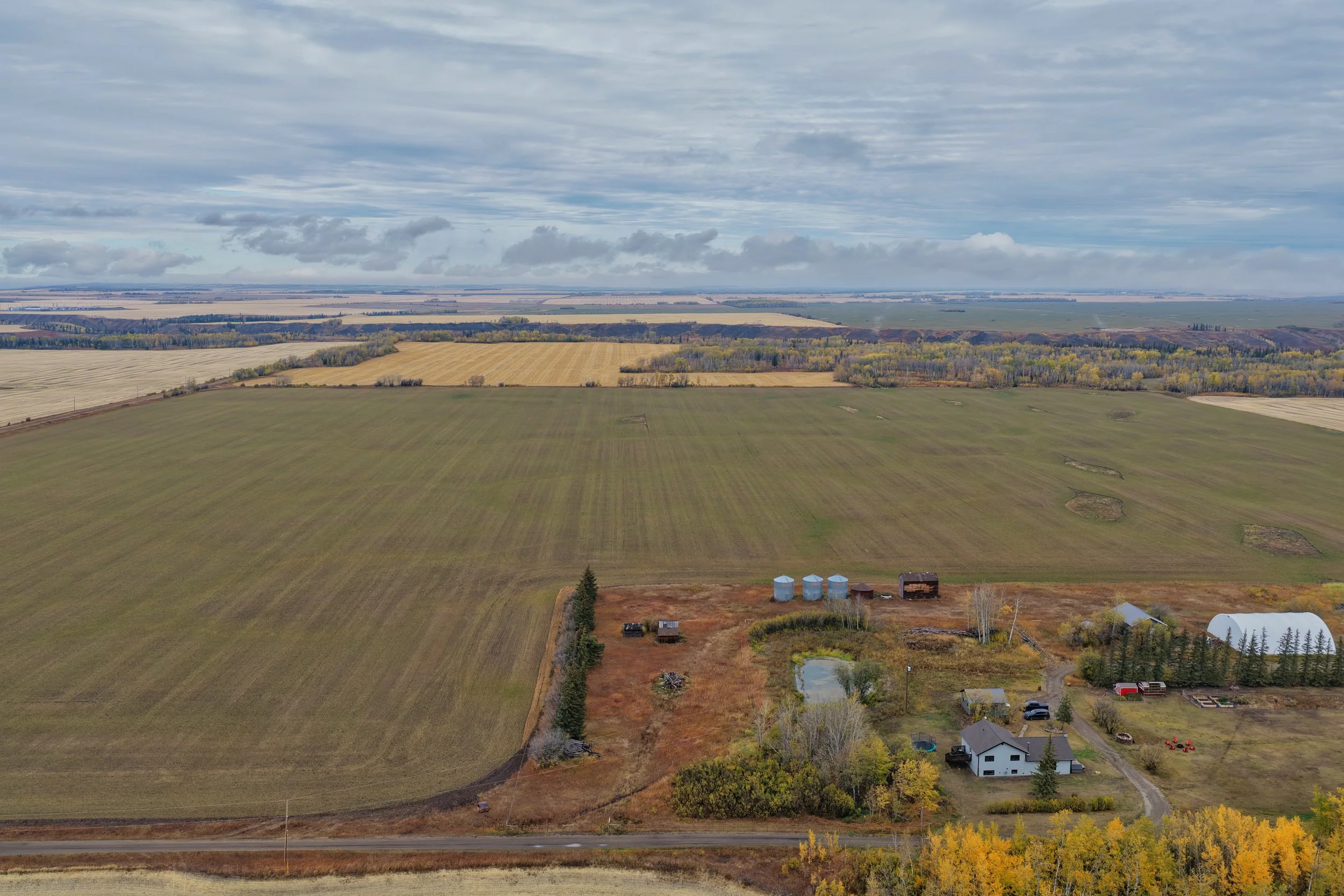 A home office with a wooden desk, a beige swivel chair, a gold desk lamp, a laptop, magazines, a potted plant, and a large green plant in a woven basket near a window with greenery outside.