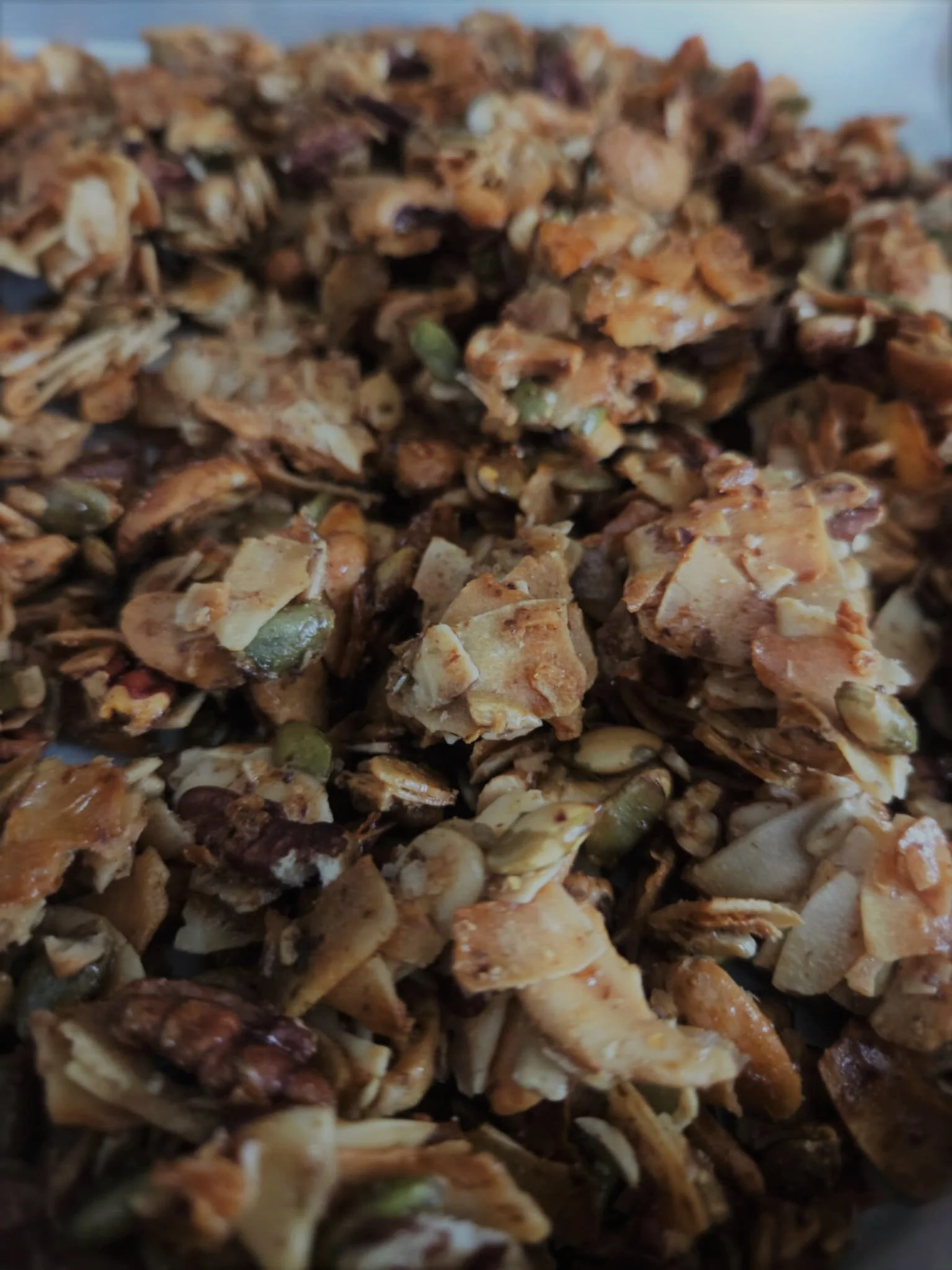 Coconut Crunch- Grain Free Granola 7 oz.