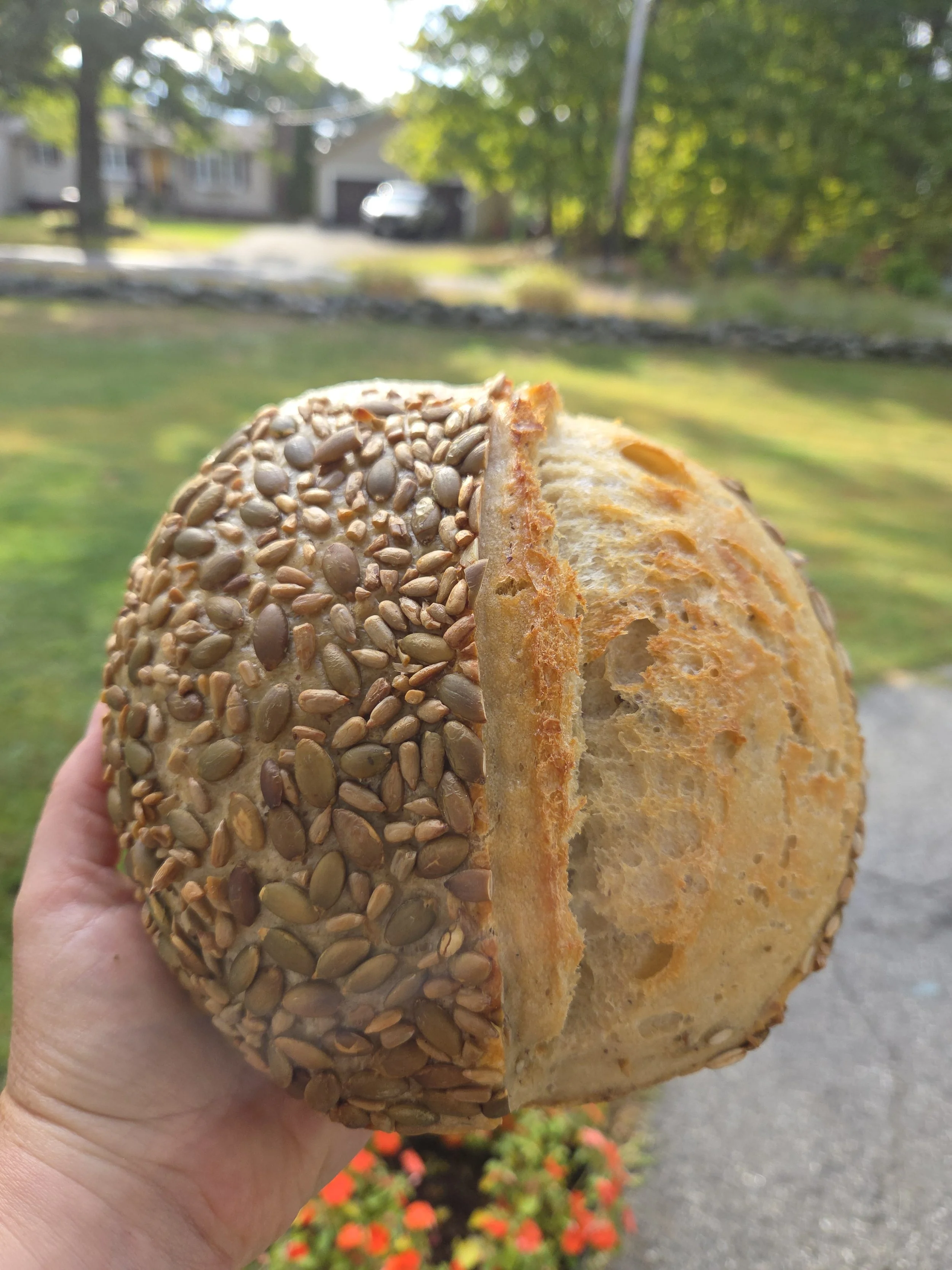Seeded Sourdough Bread 850g