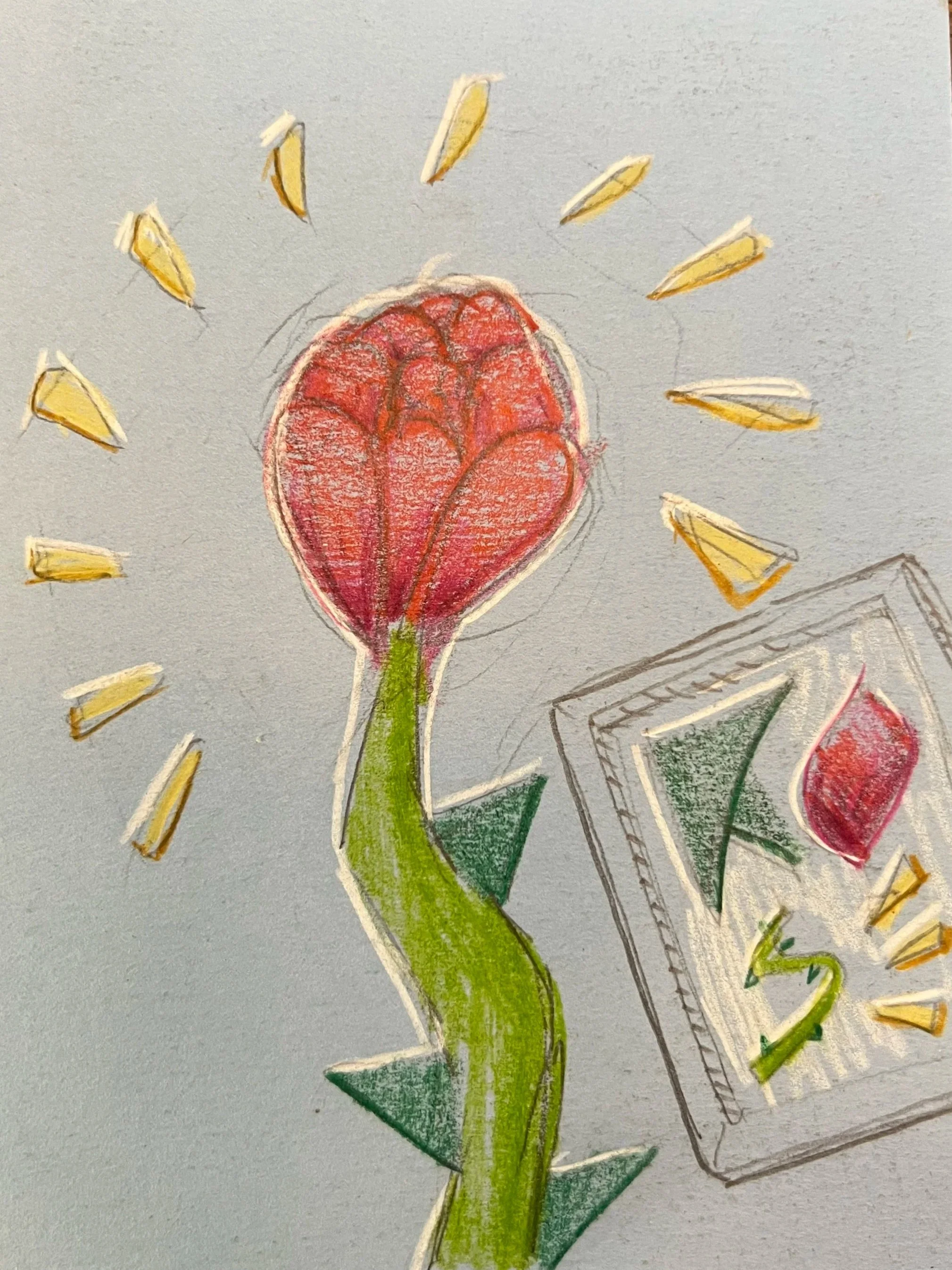 A colored drawing of a flower with a pinkish-red bloom and green stem, surrounded by yellow rays, with a thumbnail sketch of a box in the background. made by Portland artist Scott Cannon The word Rose is spelled out in the elements in the drawing