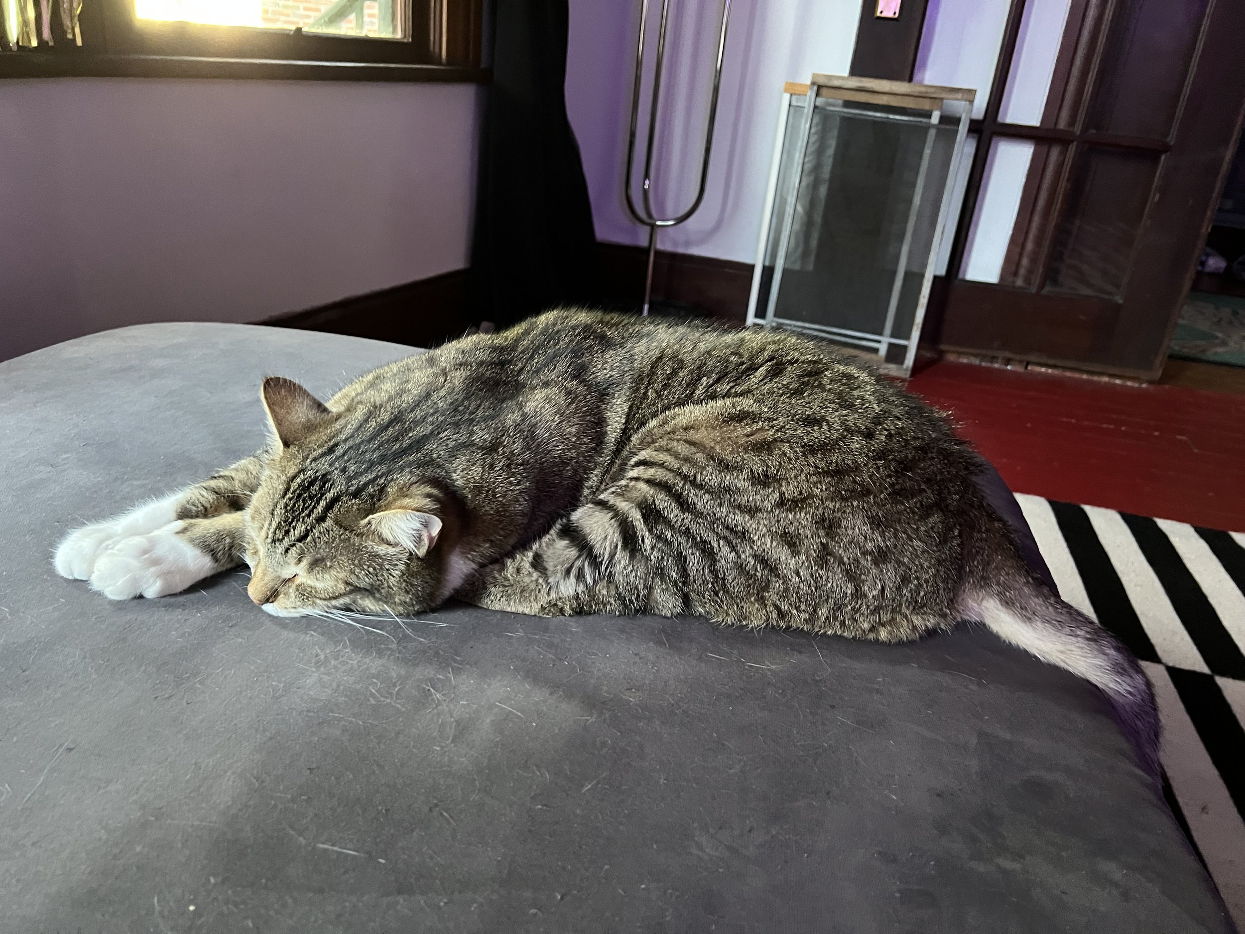 IMG_2062.jpeg