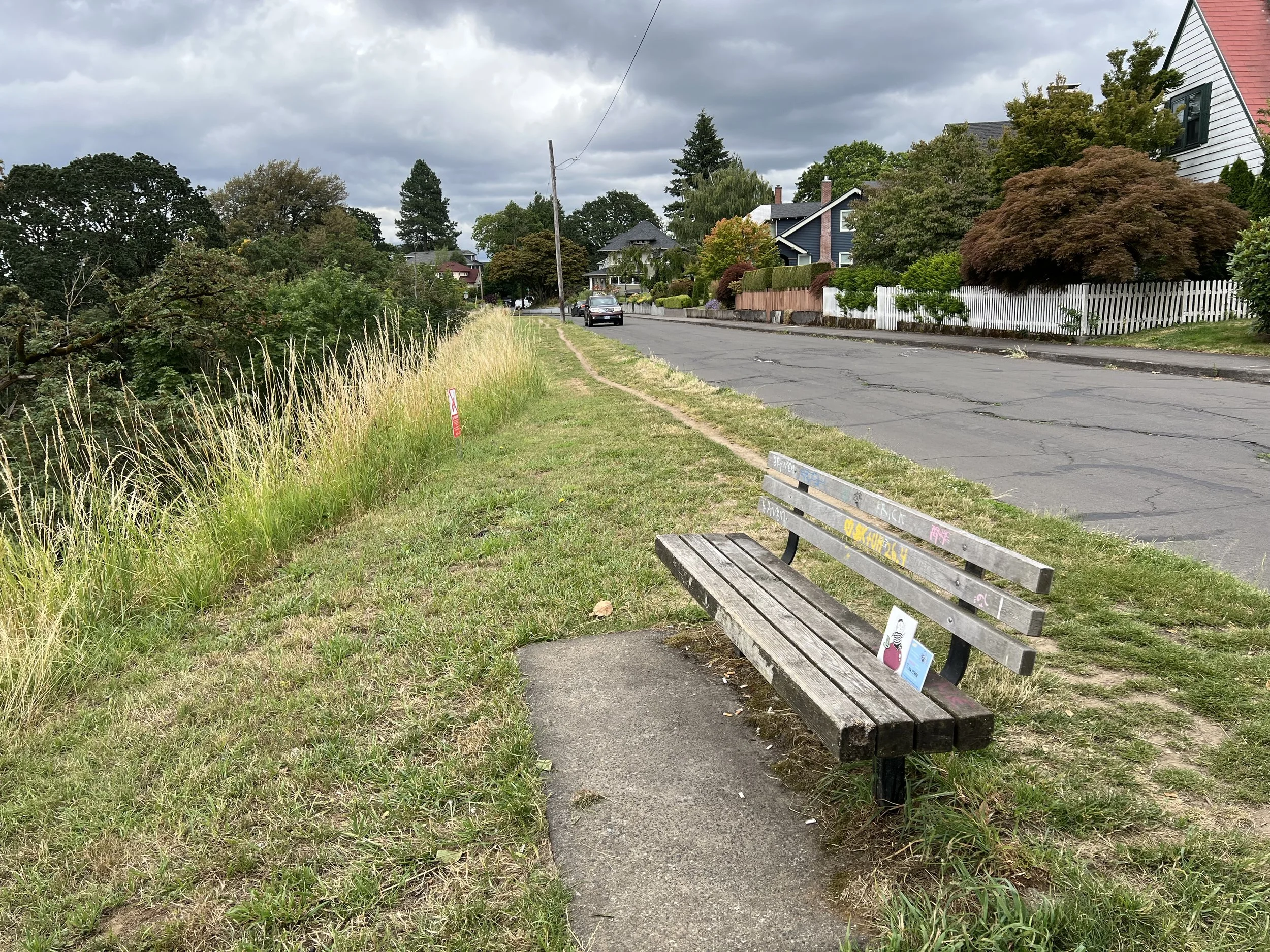 A park bench with graffiti and colorful drawings, situated on a sidewalk next to a grassy area with tall grass and bushes. In the background, there is a row of houses with trees, a street with parked cars, and overcast sky.