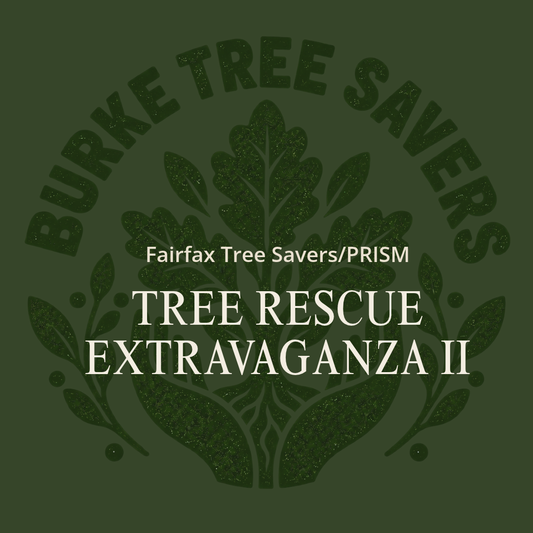 🌳 PRISM Fall Extravaganza: Free the Trees!