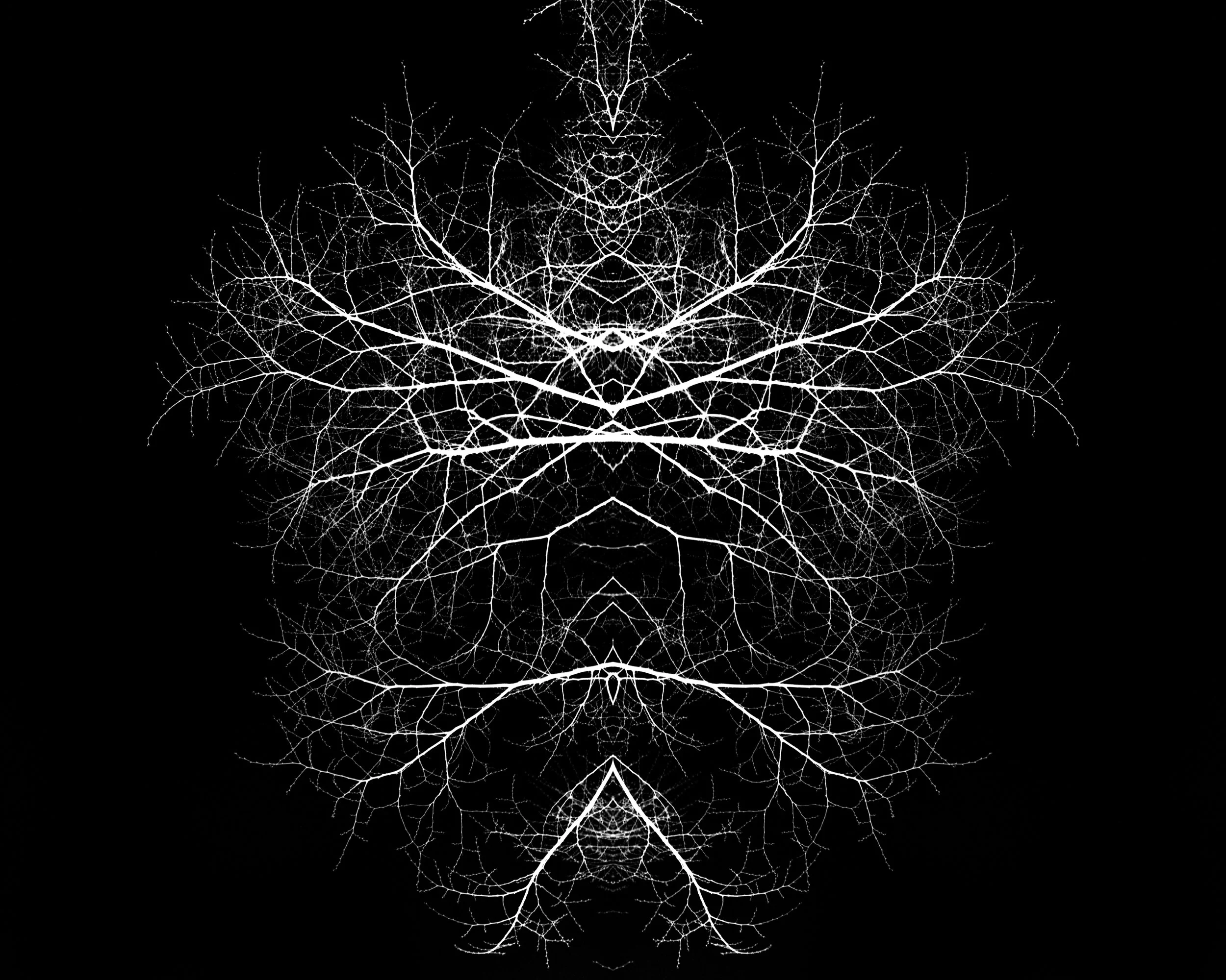 제목 없음-2.jpg