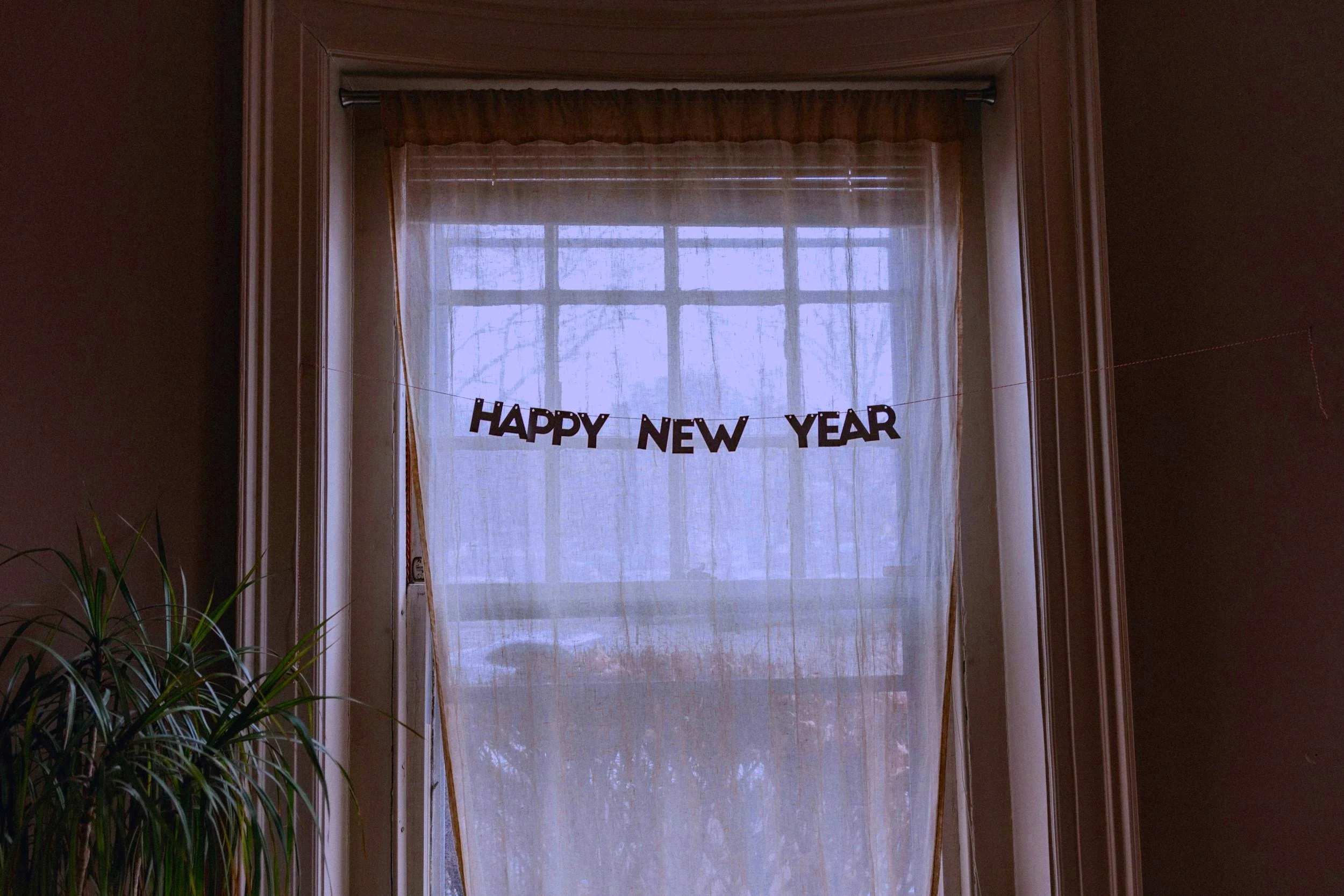 Flare-Proof Your New Year's Reset: Autoimmune Strategies for High-Achieving Women and Corporate Leaders