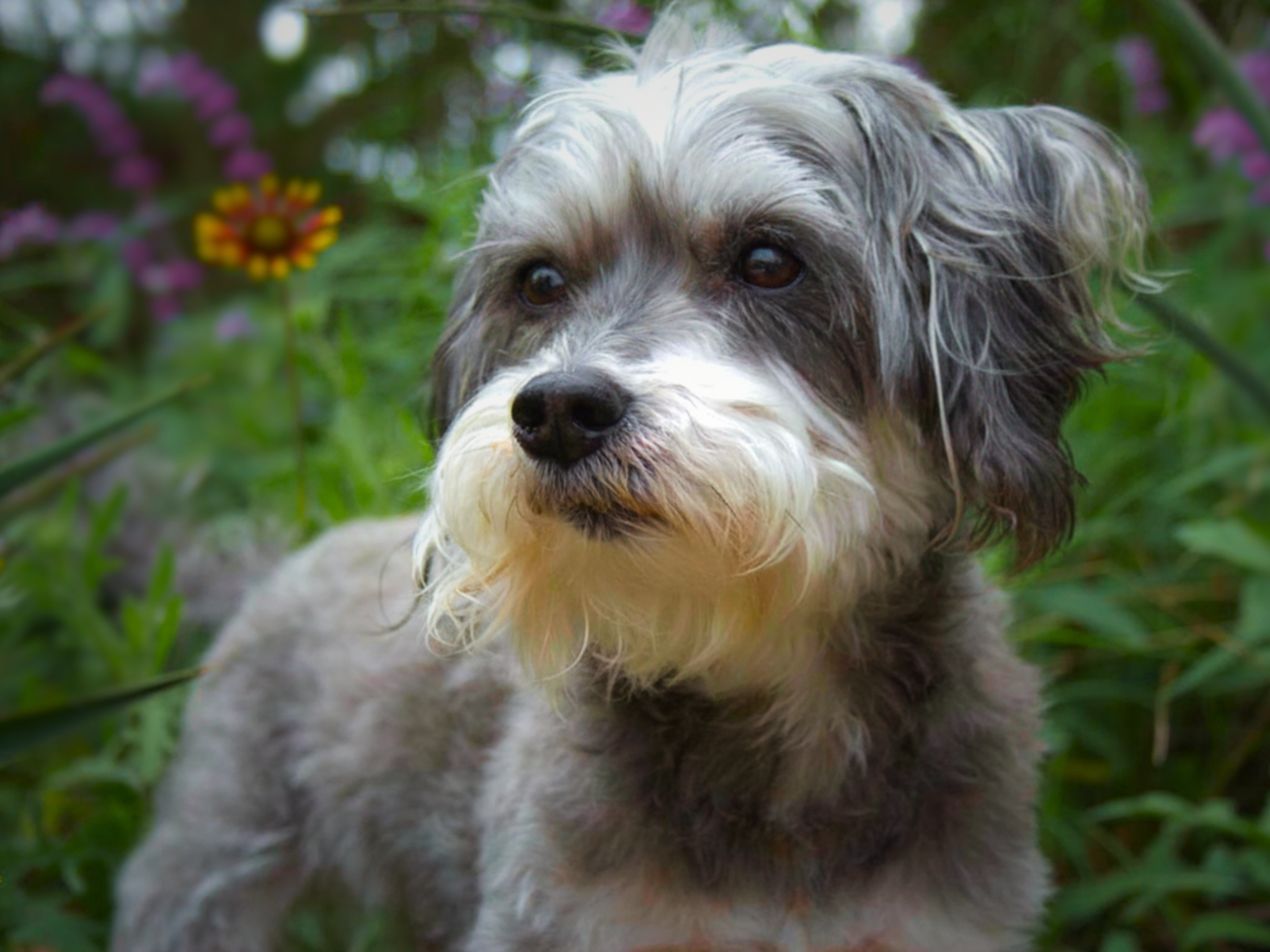 mackie.png