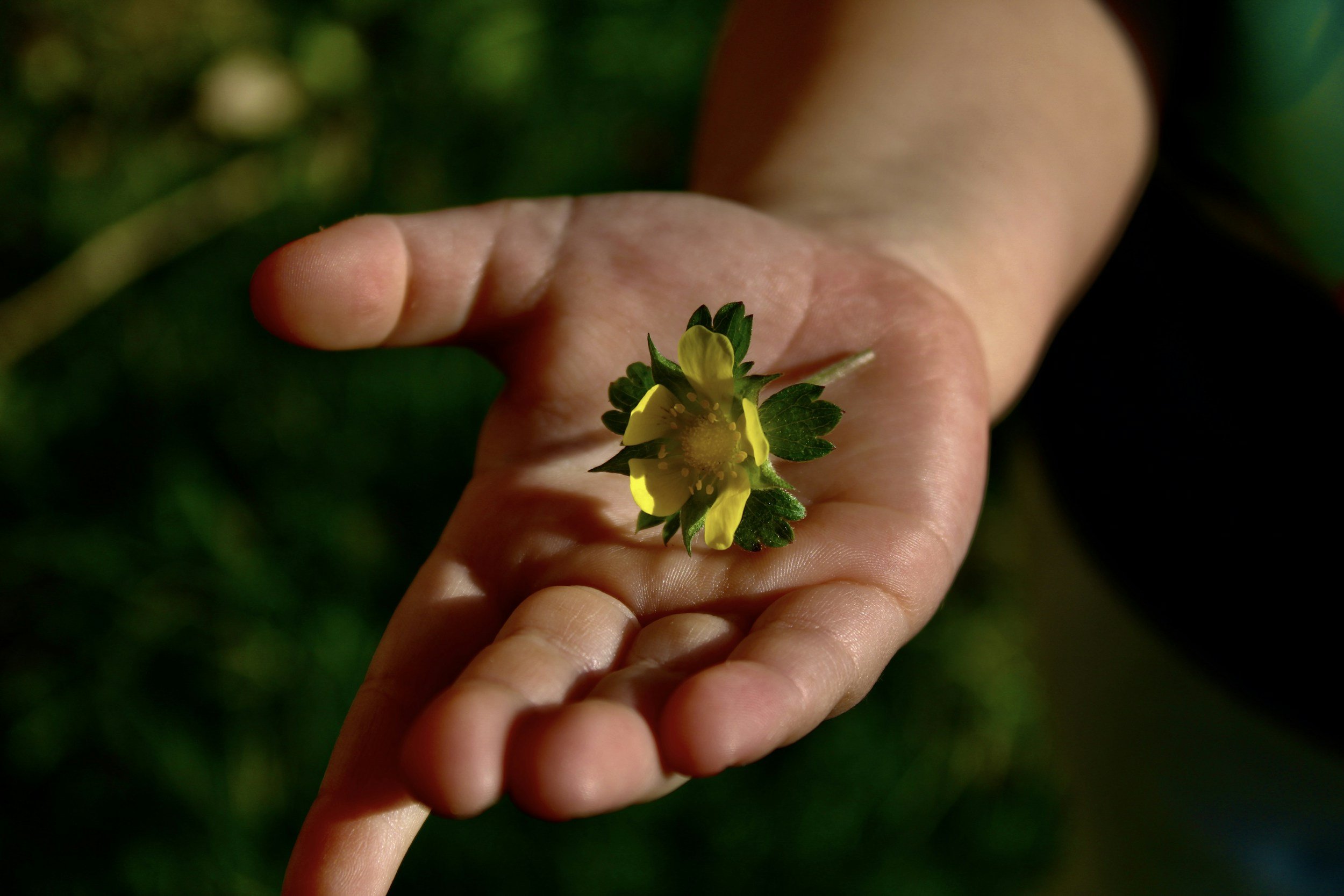 ADHD and Eating Disorders: Addressing the Overlap