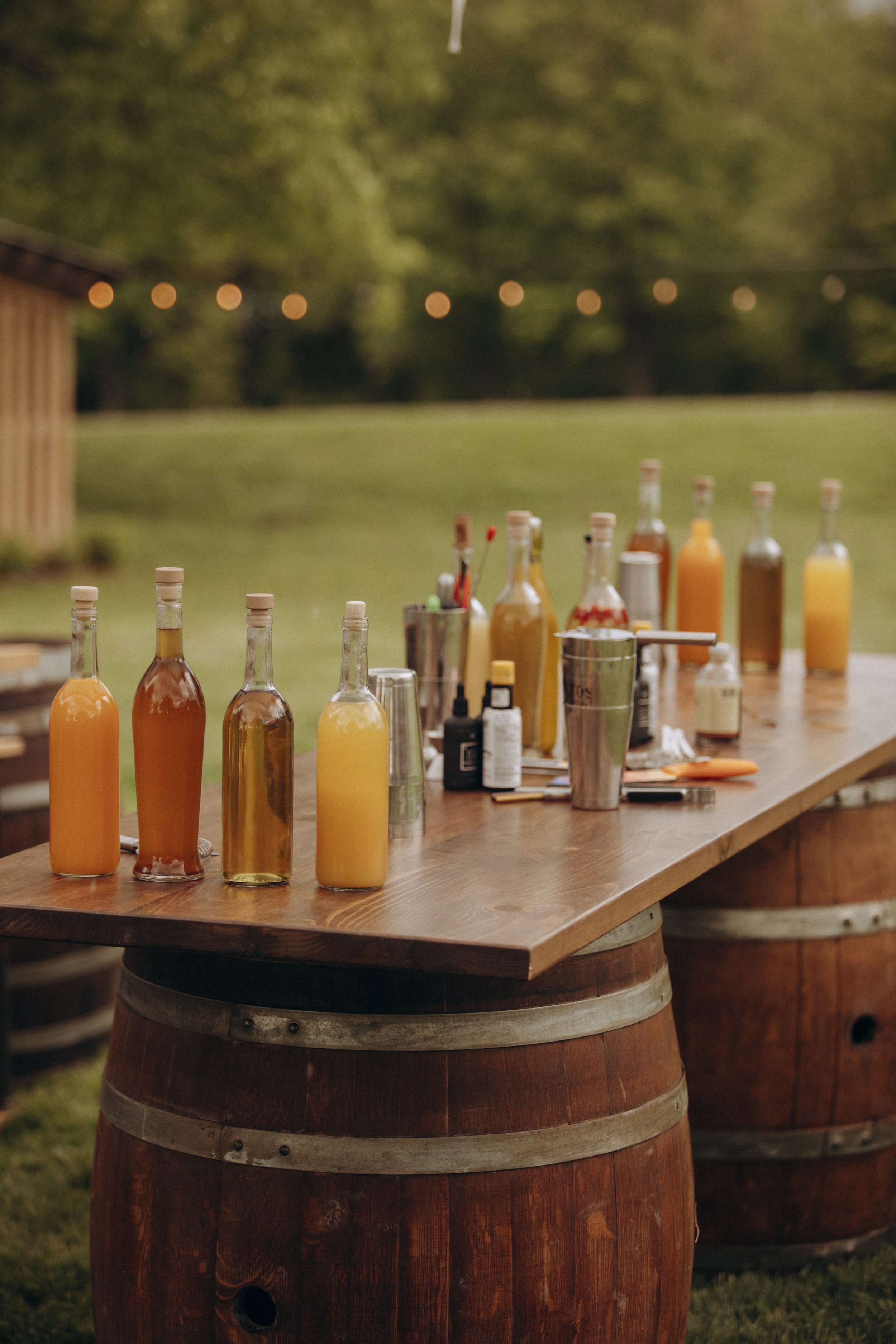 Photo Credit Rajat Mitra