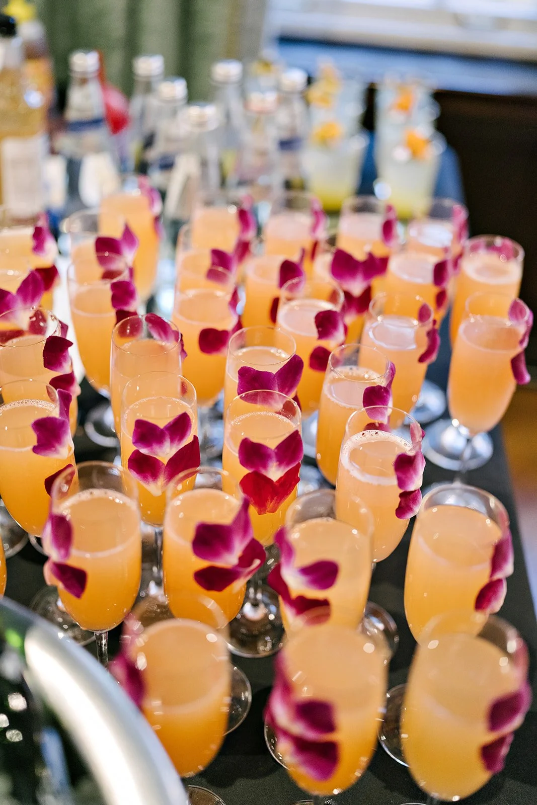 Photo Credit: Evoke Photo Studios