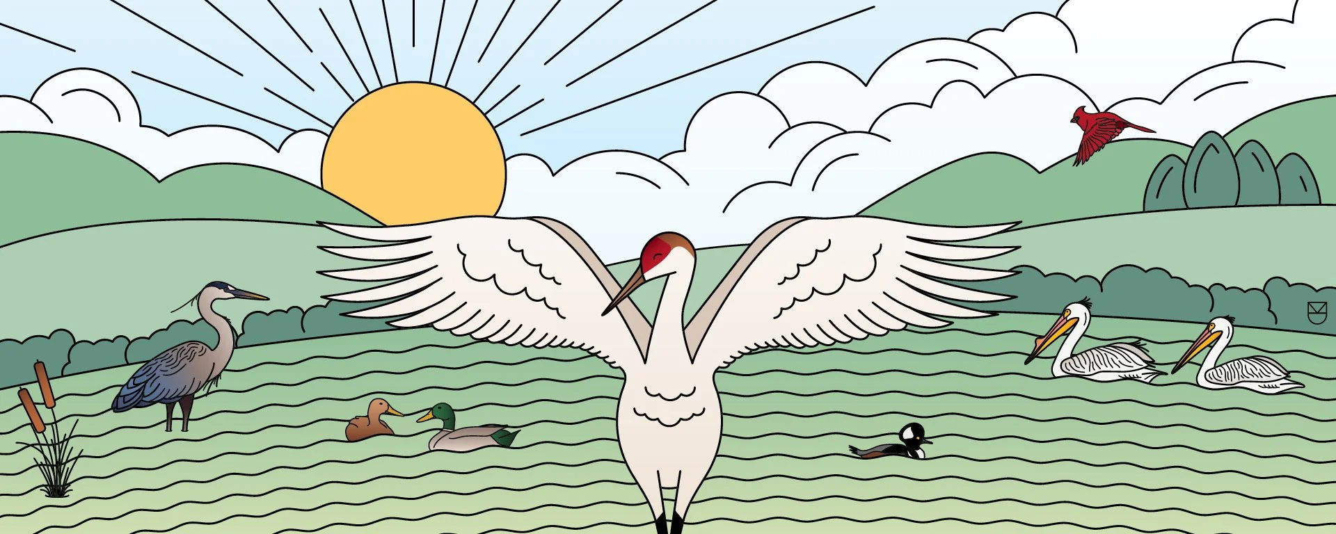 Utility Boxes_McCombs3.jpg