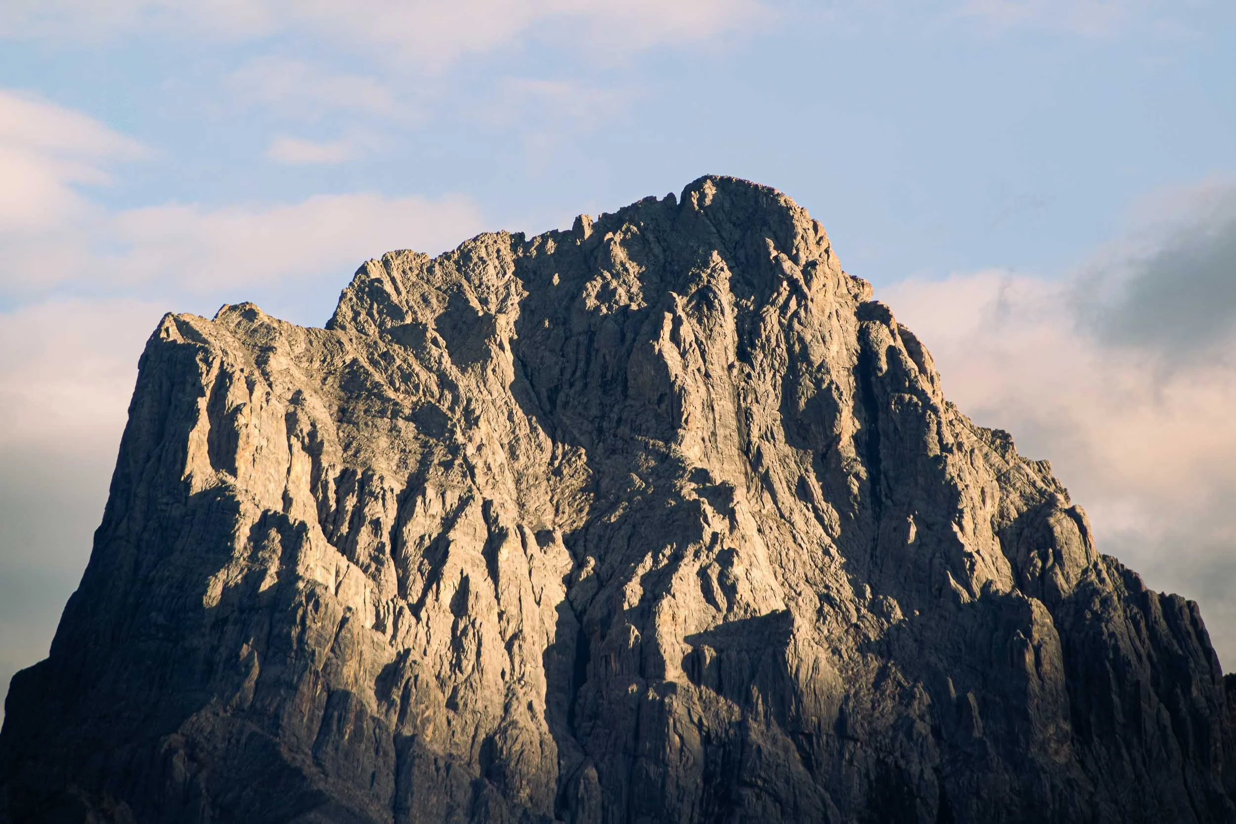 Shady Mountain