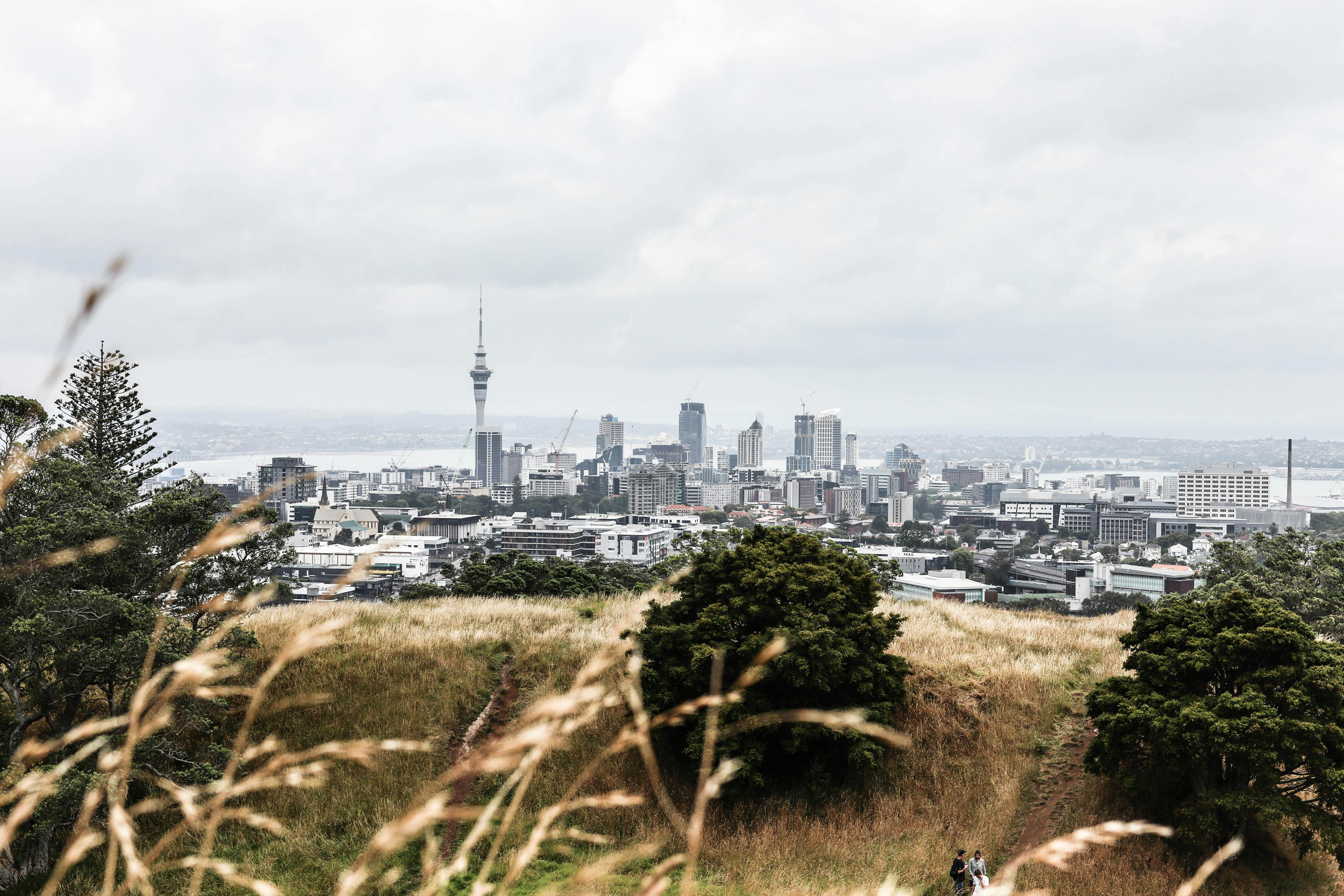 City skyline with prominent tower in the distance, viewed from a grassy hill with trees and two people walking along a trail in the foreground.