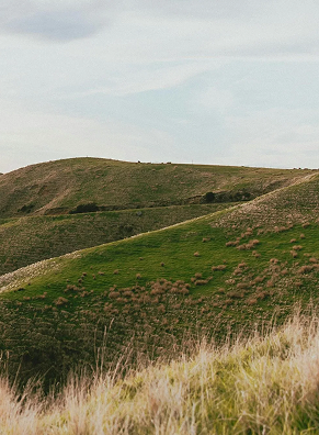 Rolling green hills under a partly cloudy sky.