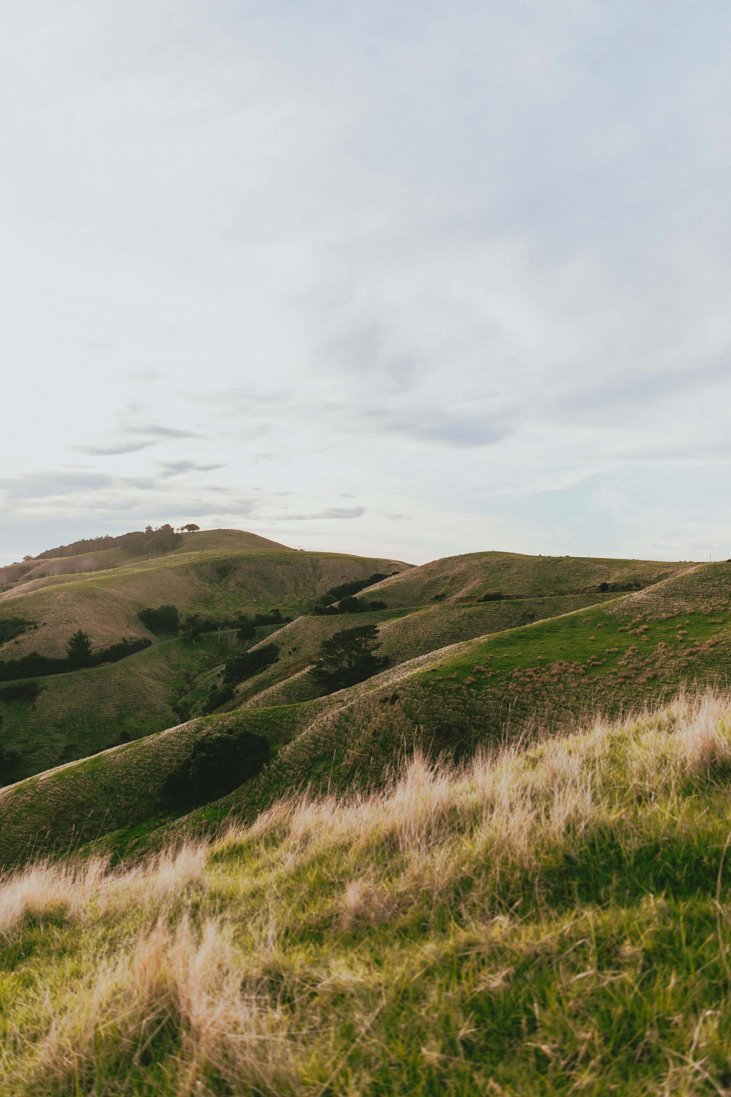 Rolling green hills with patches of grass, scattered trees, and a cloudy sky.
