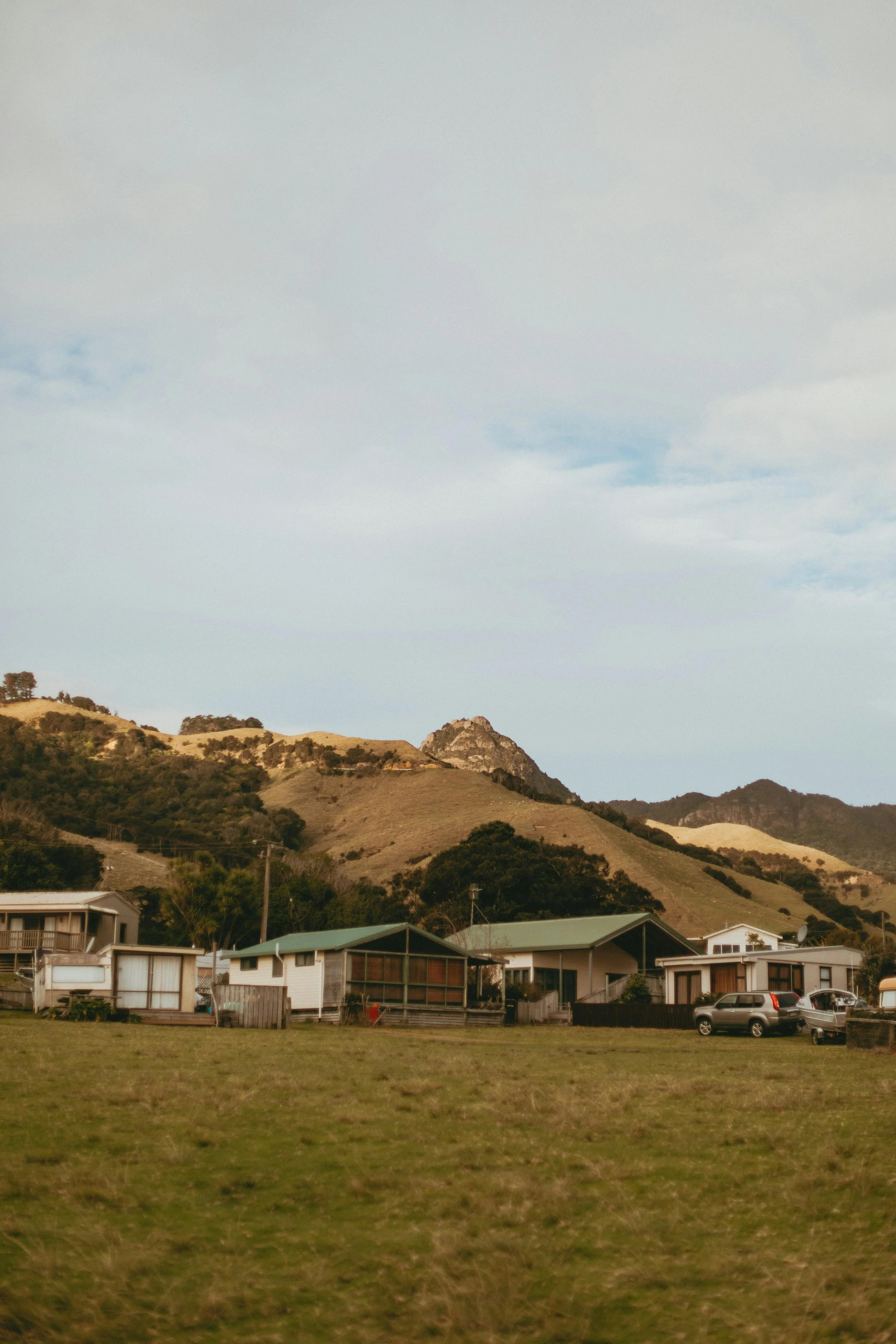 A rural scene with a grassy field, a row of houses with green roofs, and mountains in the background under a cloudy sky.