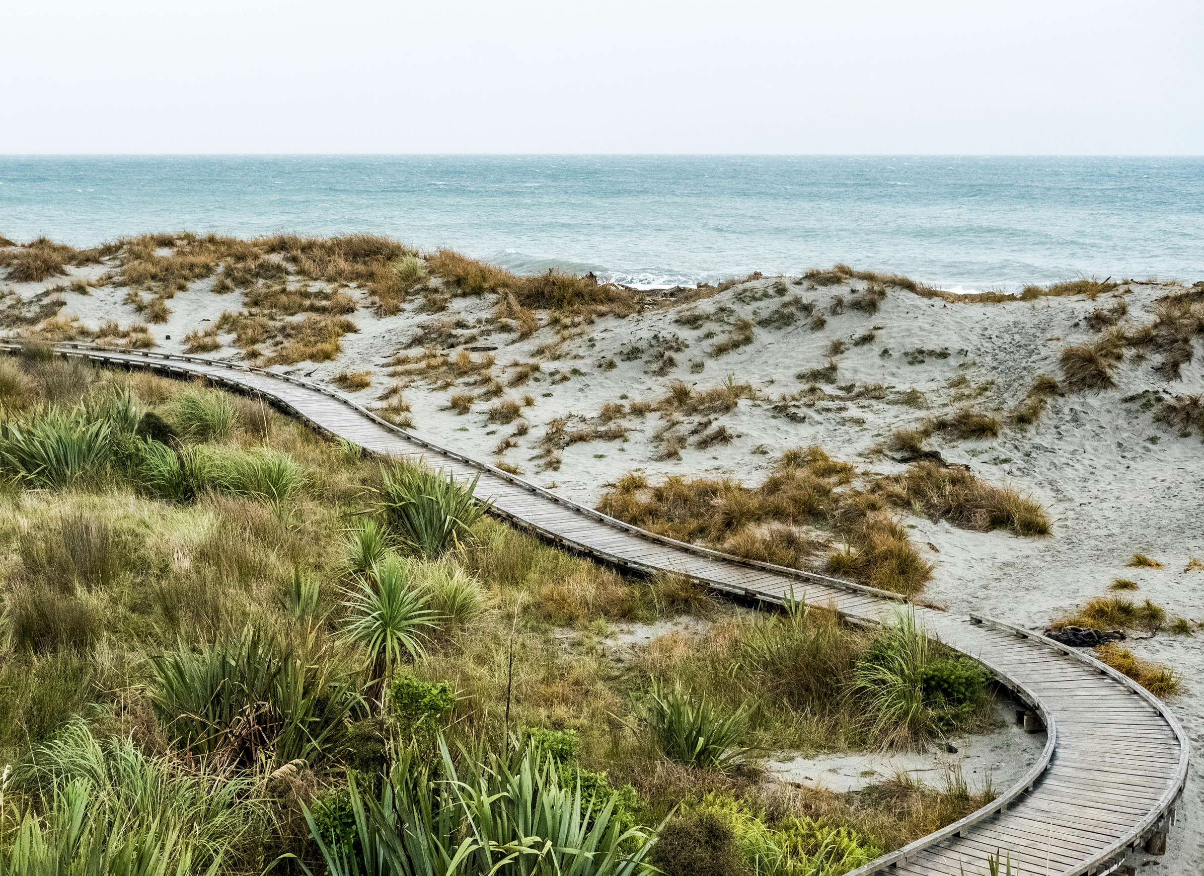 Wooden pathway winding through grassy sand dunes towards the ocean on a cloudy day.