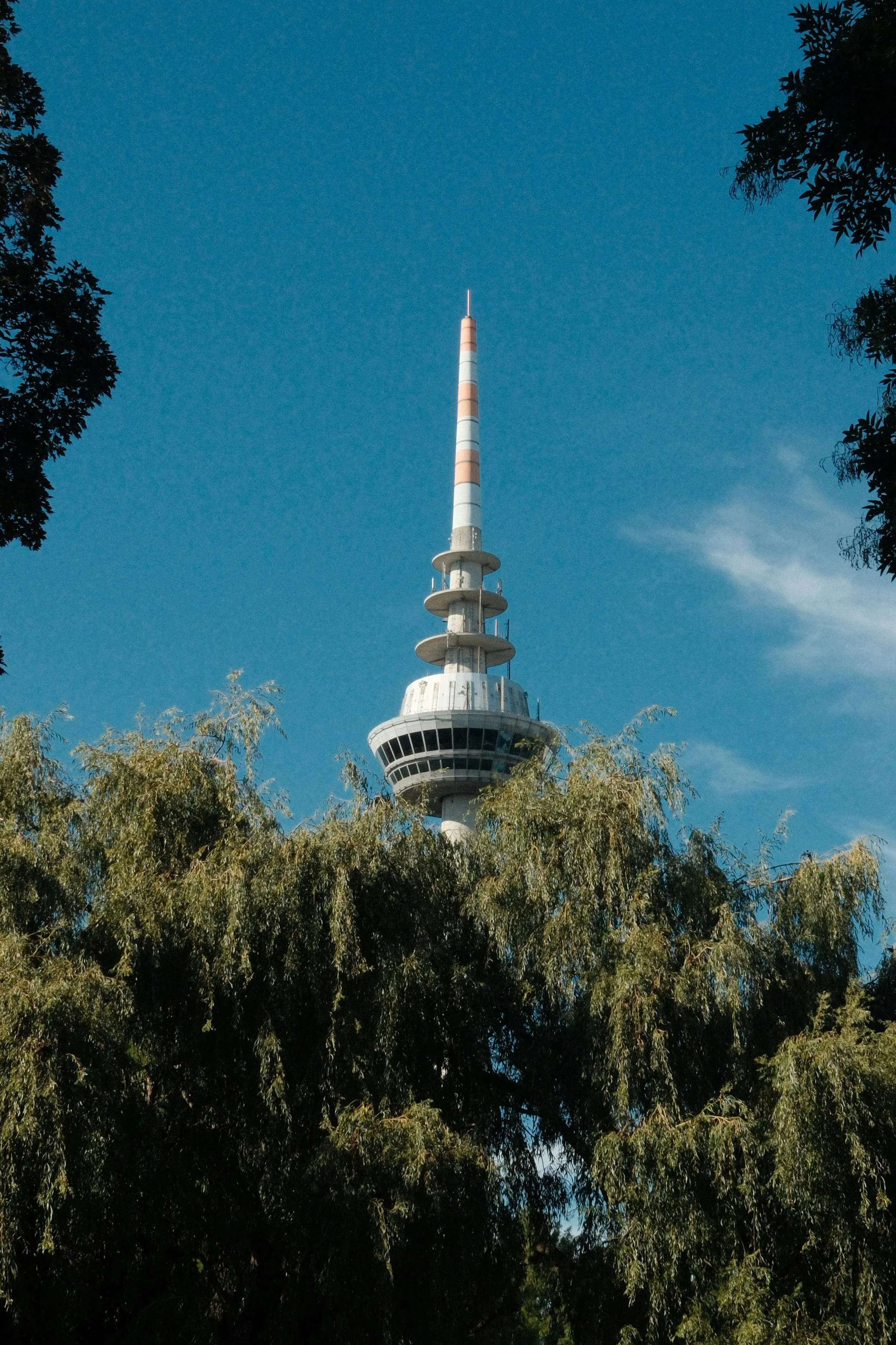 Television tower with a circular observation deck, surrounded by trees, against a clear blue sky.