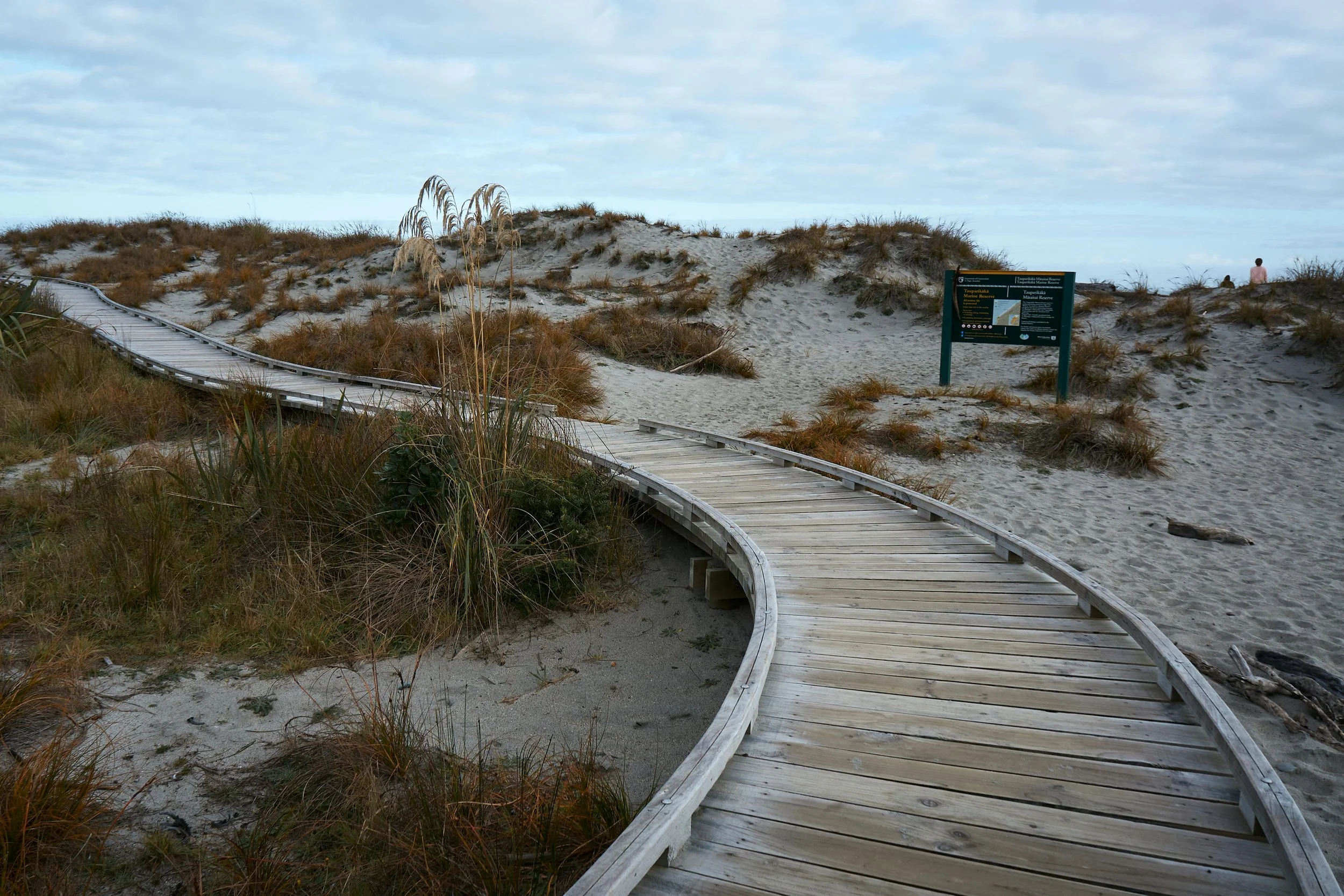Wooden boardwalk winding through sand dunes with sparse grasses, leading to an informational sign on a cloudy day at the beach.