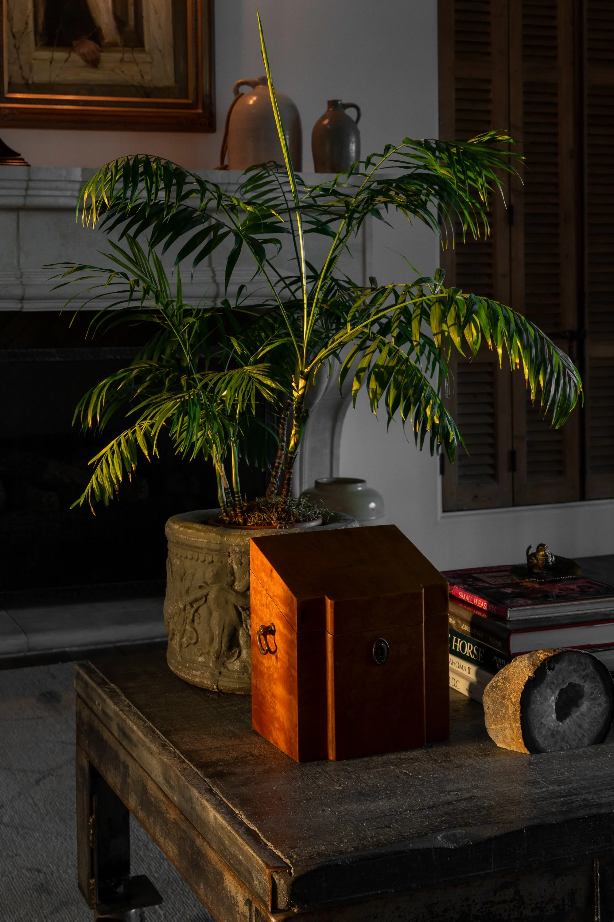 Texas Hill Country | Living Room | Coffee Table Vignette at sunset with palm