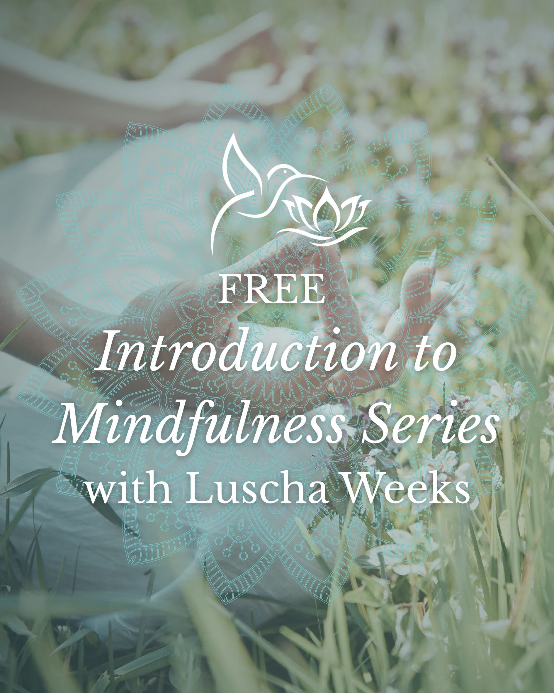 A person sitting outdoors in a field of grass, holding someone else's hand. A transparent mandala and hummingbird graphic overlay with text about a free mindfulness series with Luscha Weeks.