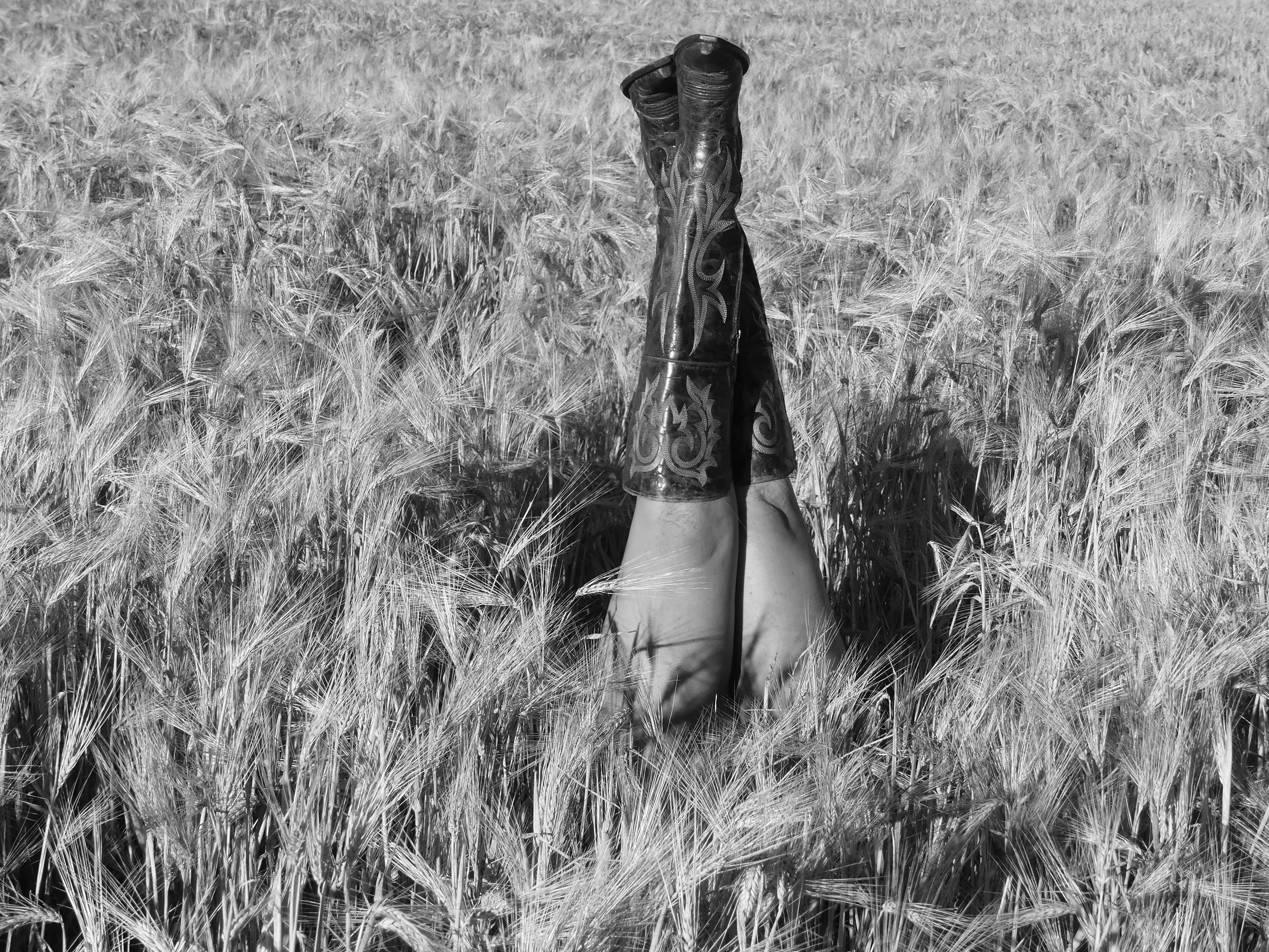A person lying upside down in a wheat field, with their legs raised vertically and wearing cowboy boots and a skirt.