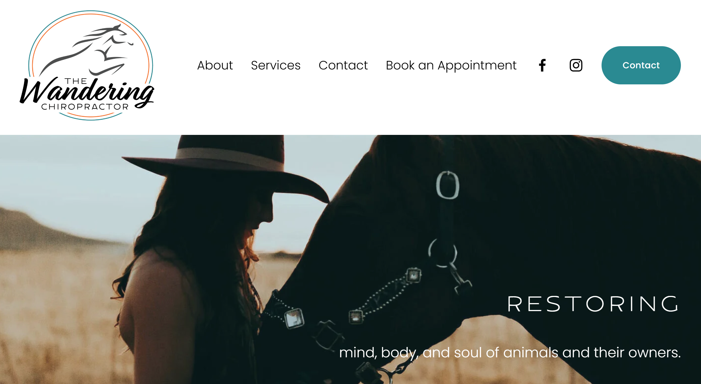 The Wandering Chiropractor