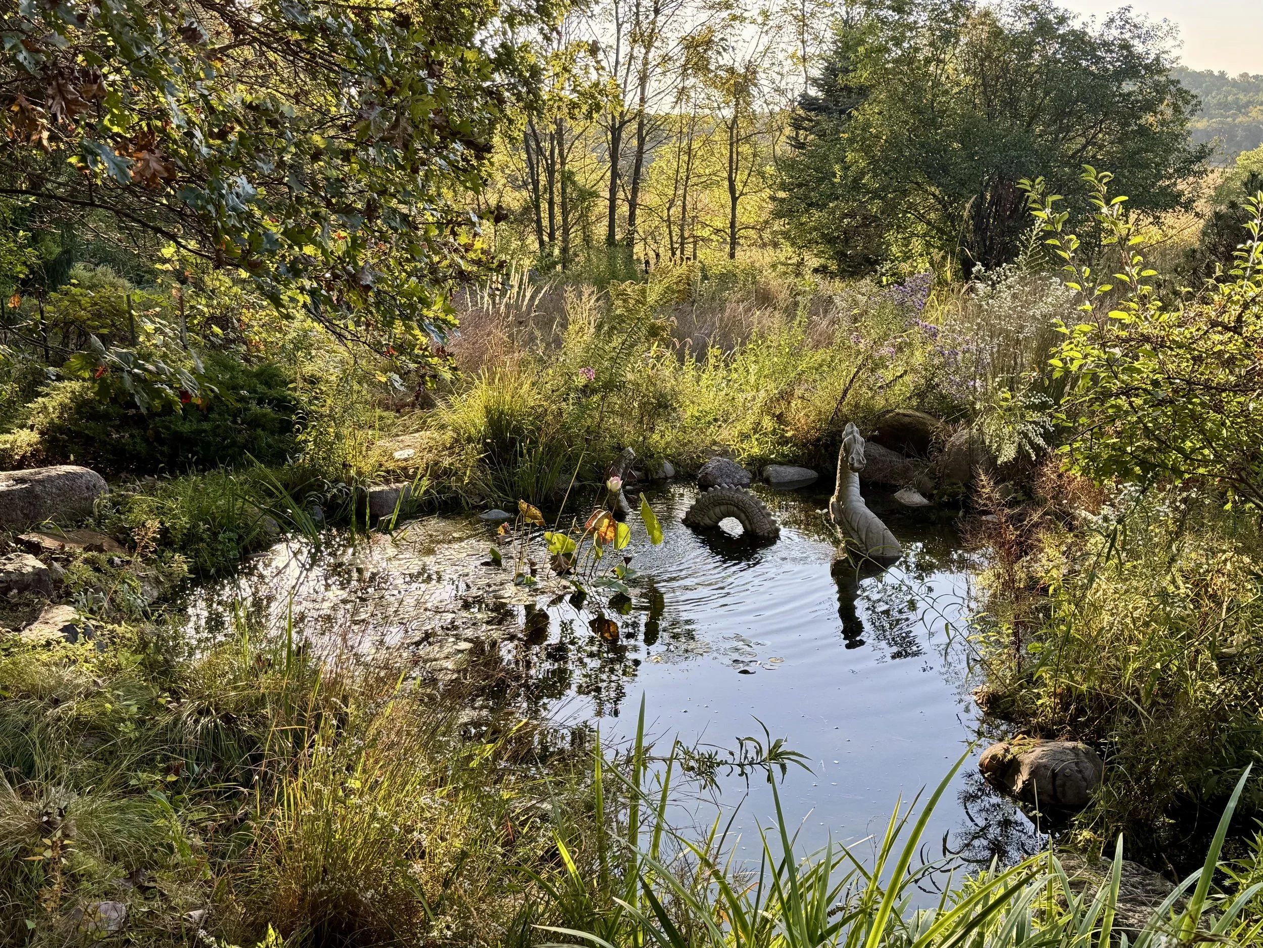 Wild_Life_Refuge_by-Tona-Williams_3069.jpeg