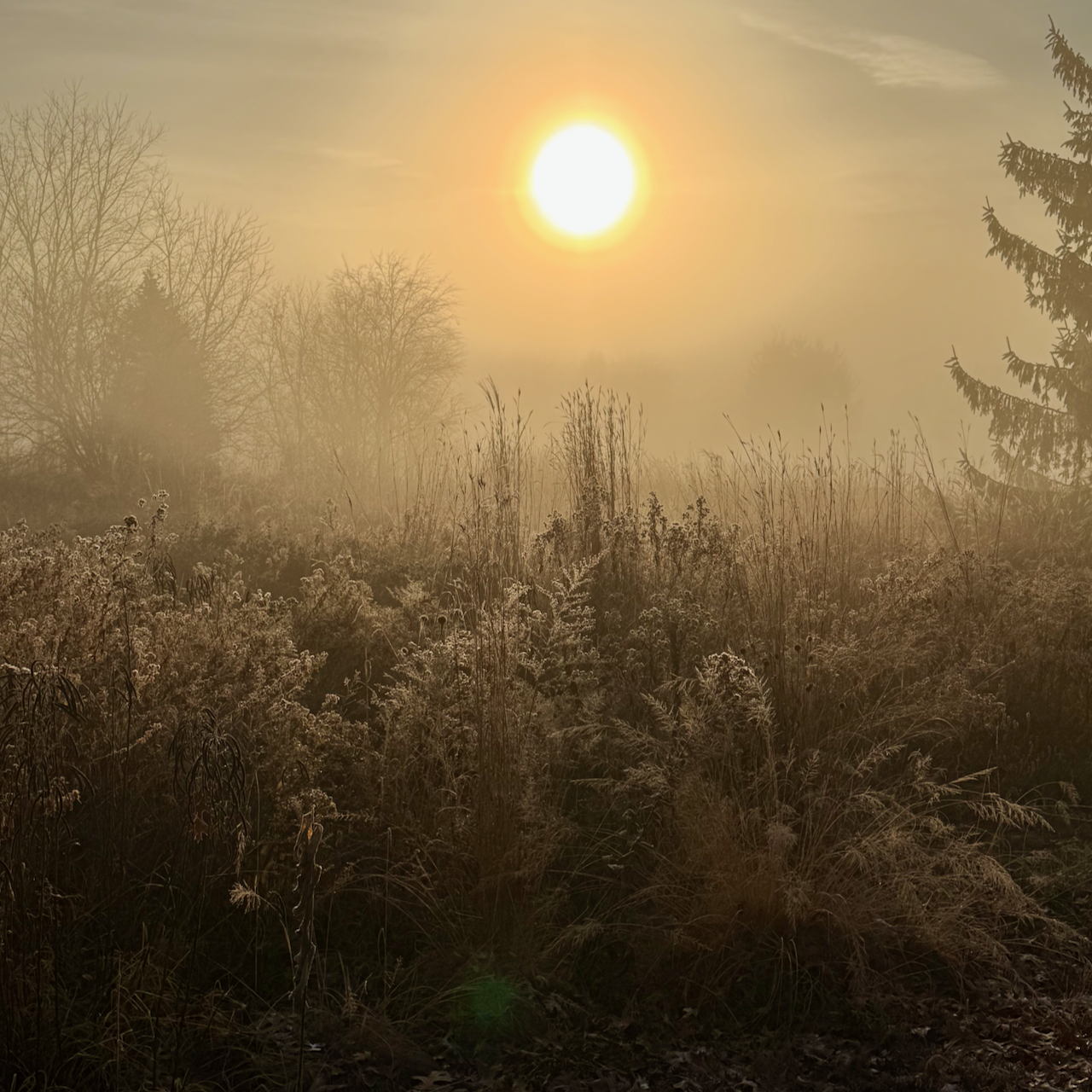 Breath - Body - Spirit