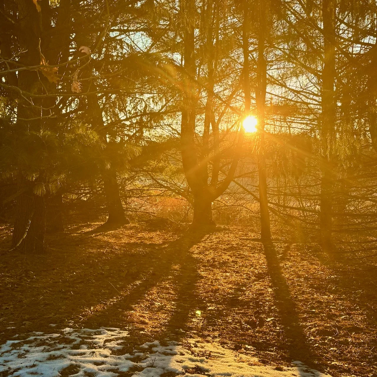Facilitators Connection Circle