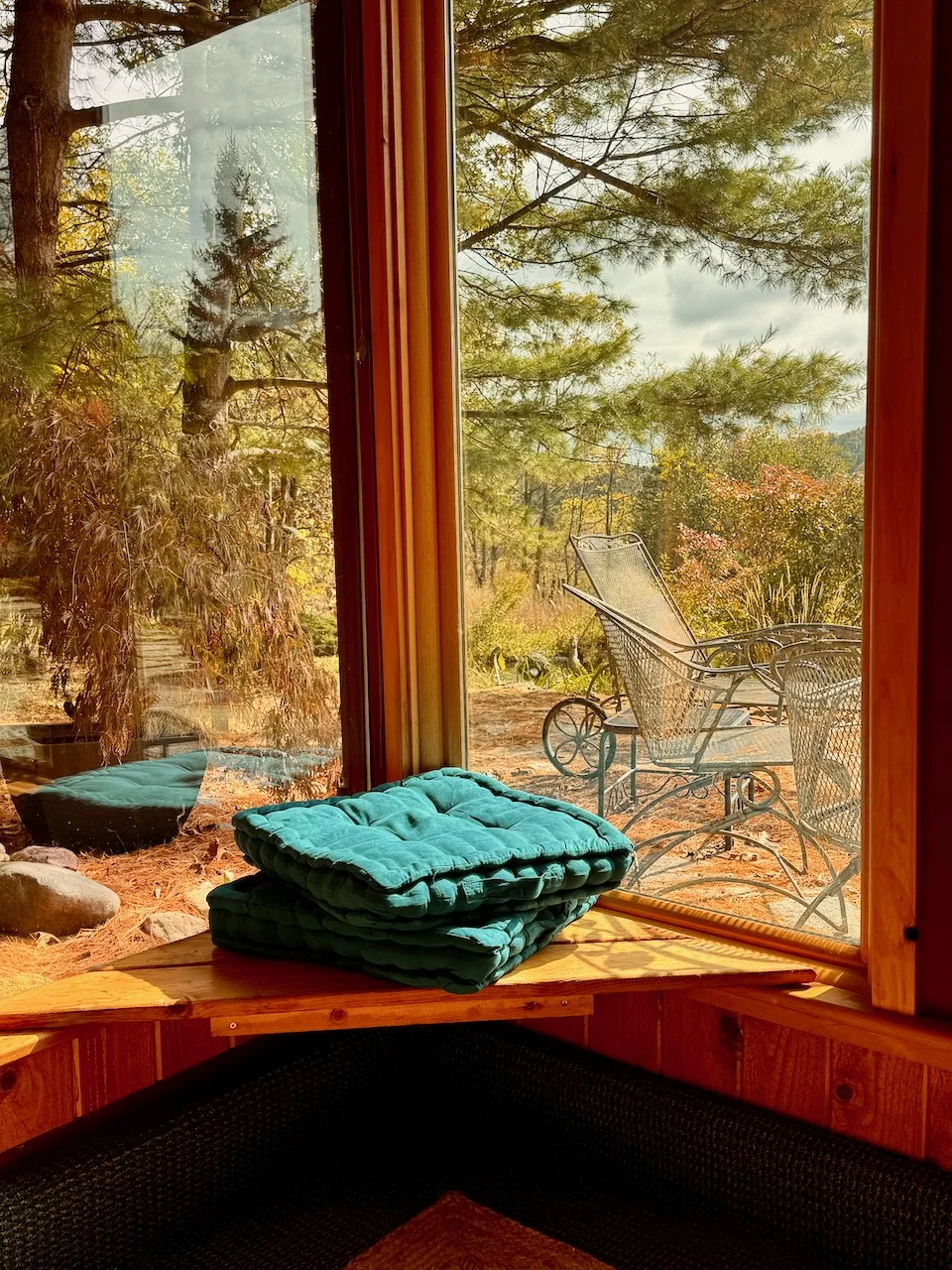 Wild_Life_Refuge_by-Tona-Williams_3814.jpeg