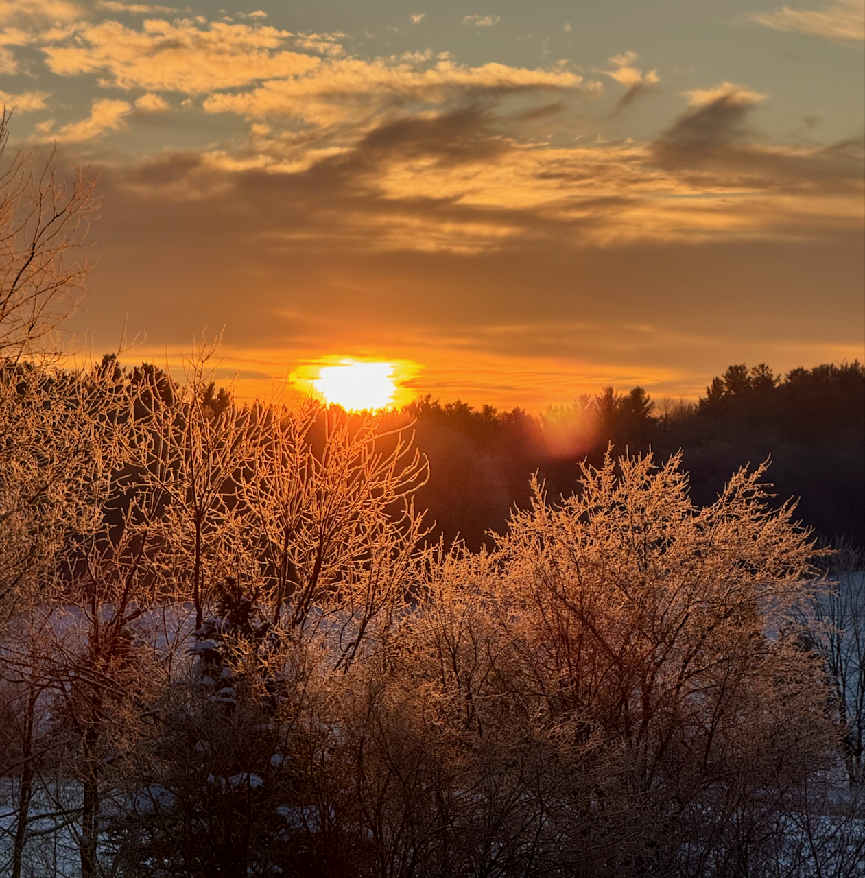 Transformative Workshop Facilitators Co-Creation Circle