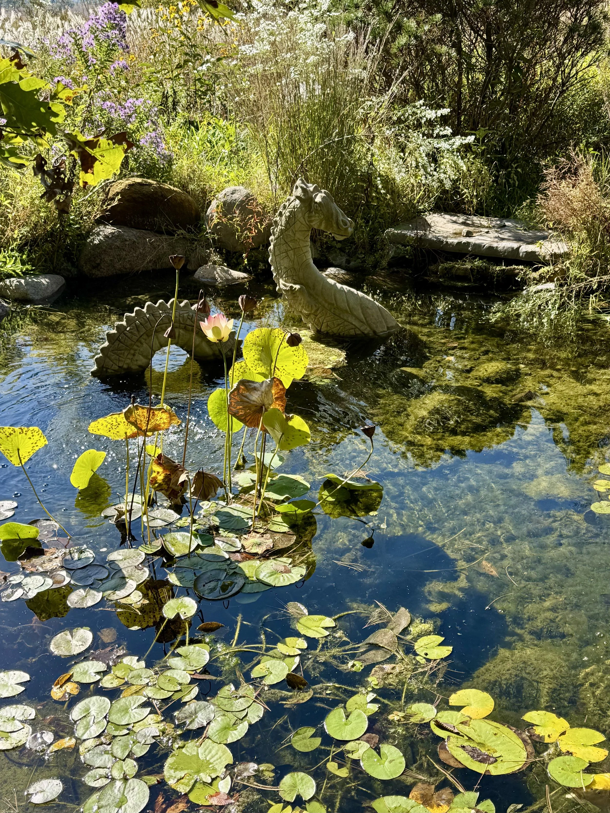 Intuitive Energy Readings