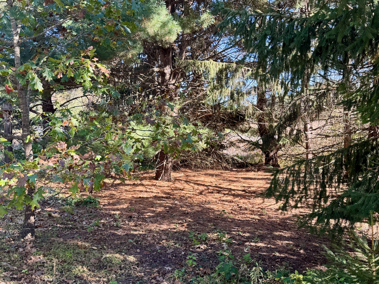 Contemplation Stations