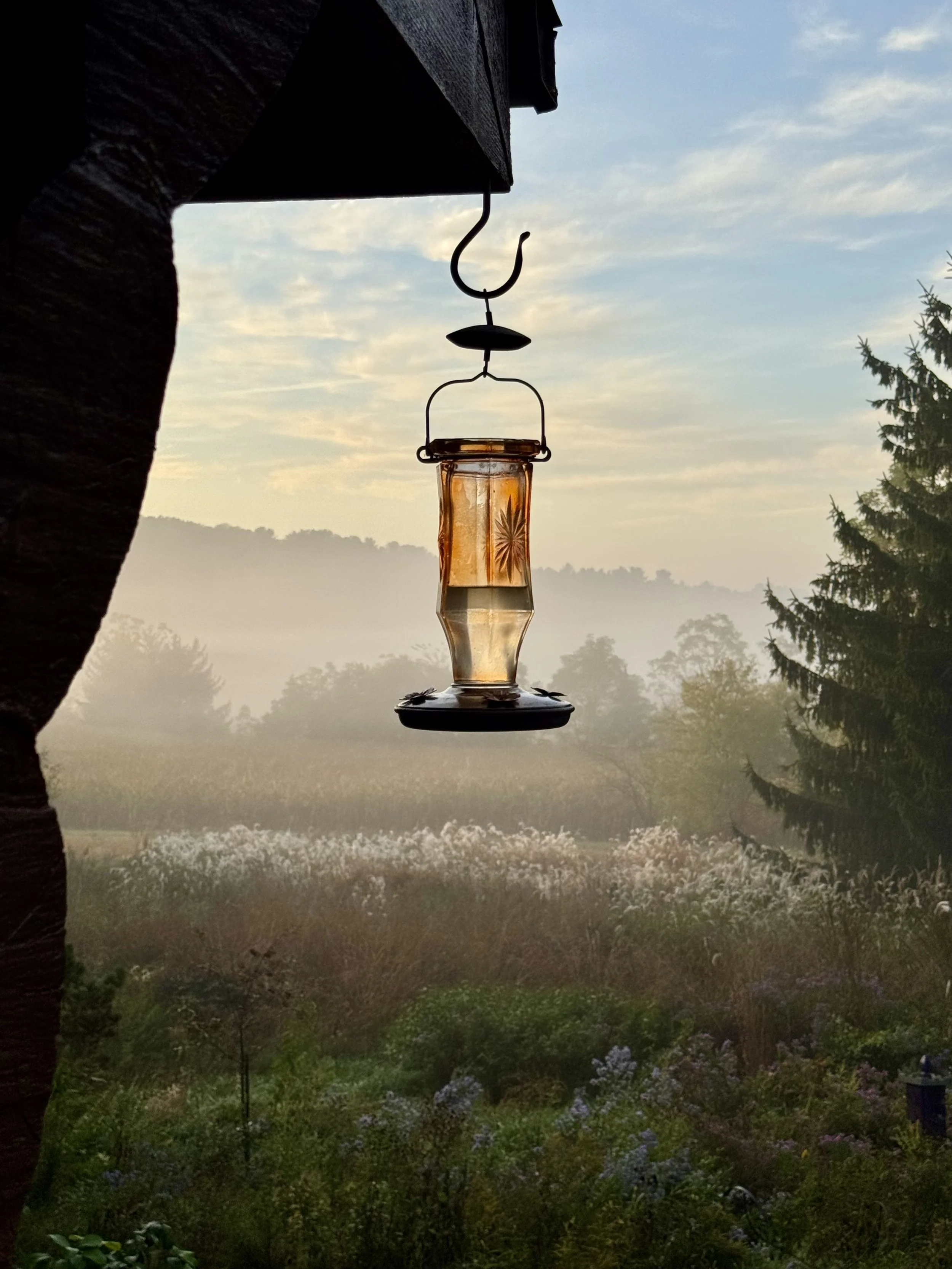 Wild_Life_Refuge_by-Tona-Williams_3188.jpeg