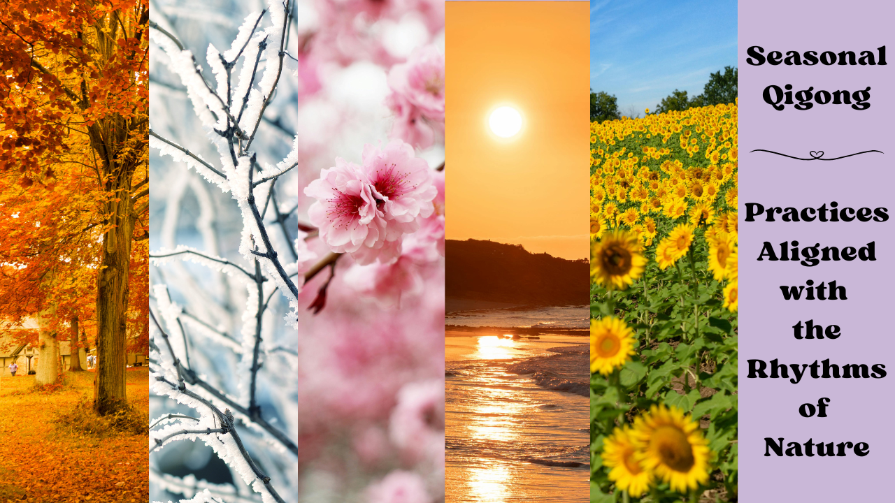 Collage of five images depicting different seasons: autumn trees with orange leaves, snow-covered branches, pink cherry blossoms in bloom, a sunset over the ocean, and a field of blooming sunflowers. Text overlay on a purple background says "Seasonal