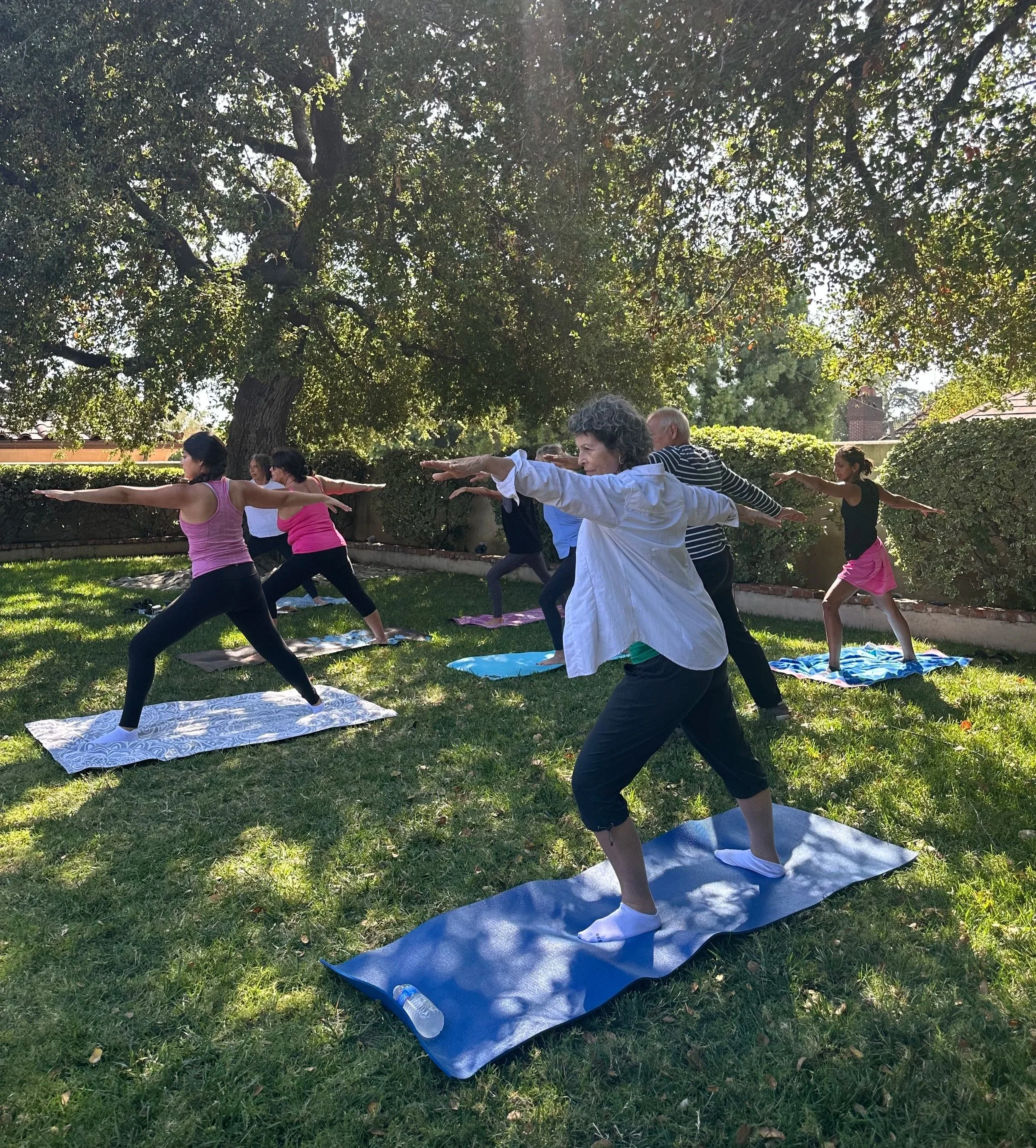Group of people practicing yoga outdoors on mats under a large tree in a garden. Photo taken from attending an in person class with Sue Brian