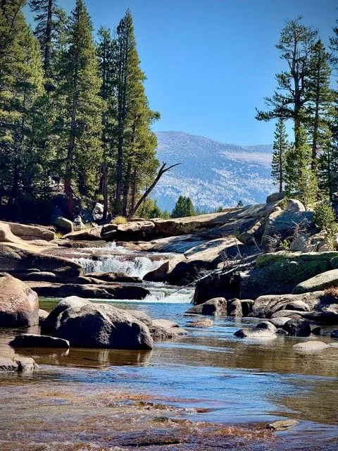A mountain stream flowing over rocks with pine trees and mountains in the background on a sunny day.  Image provided by Cyndi Bemel (cyndibemel.com | cbemel3@me.com)