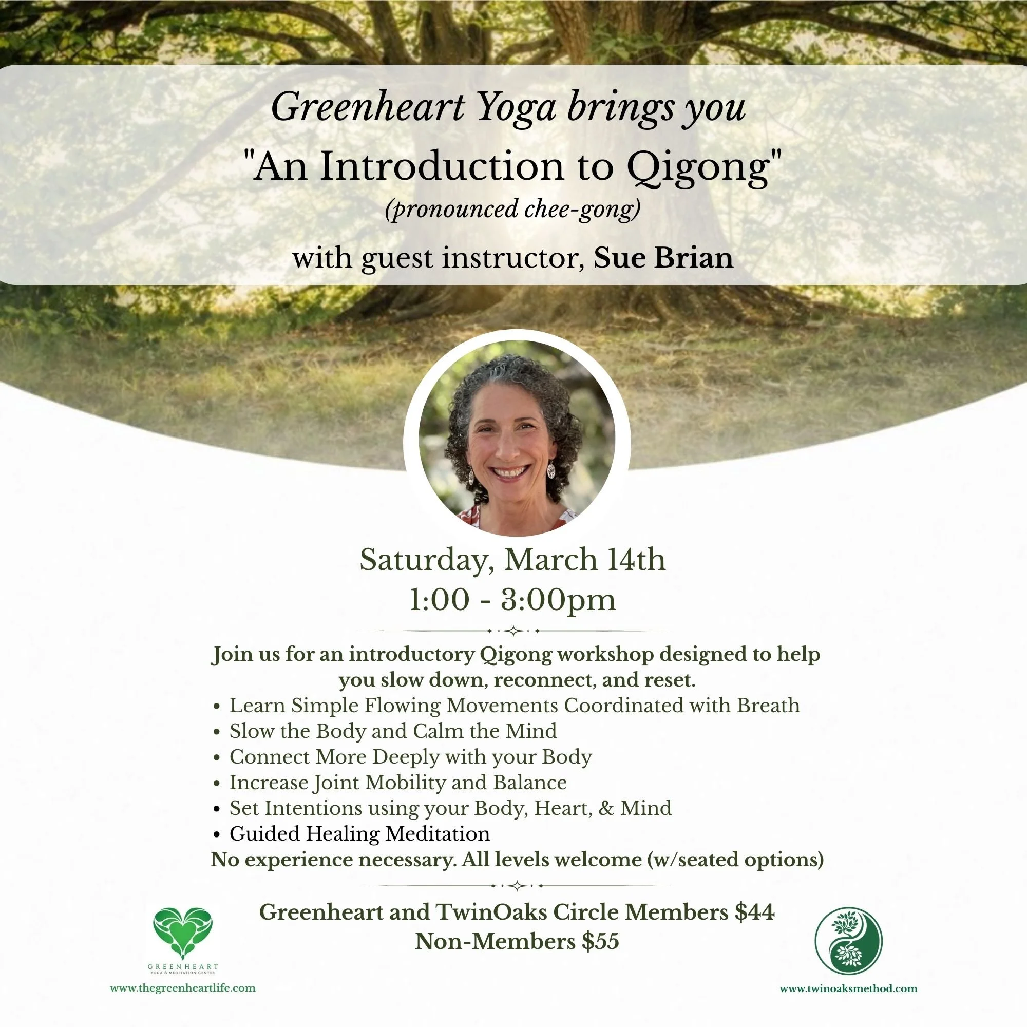 Guest Flyers (4).jpg