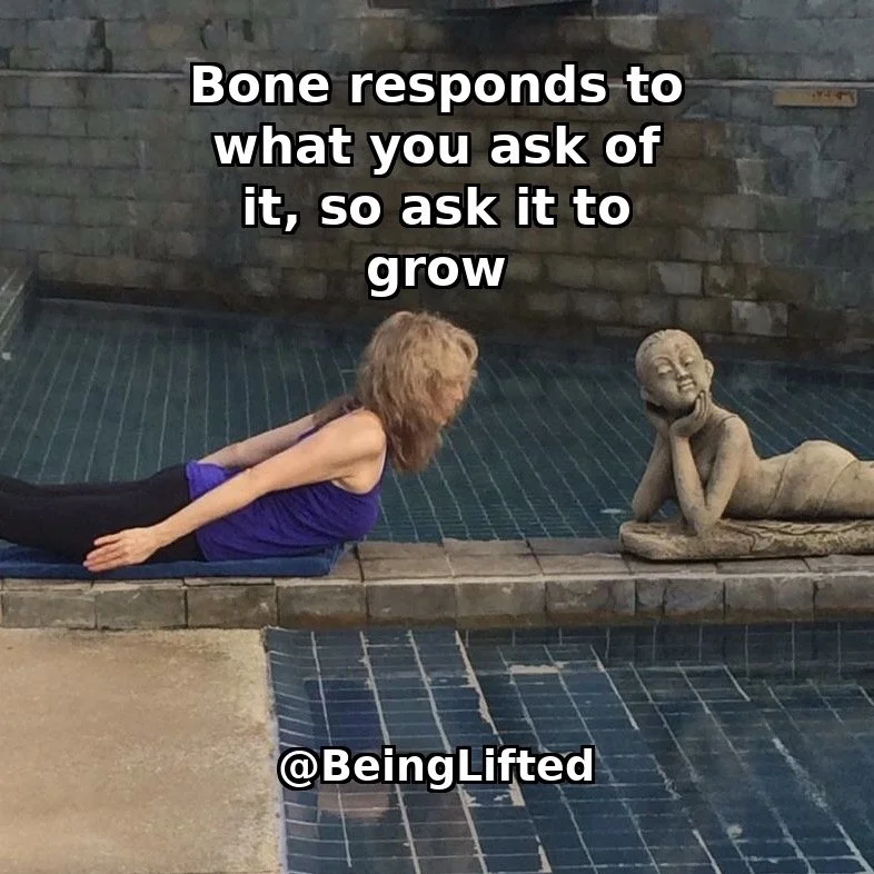 Bone responds to what you ask of it, so ask it to grow.
Weight-bearing exercise signals your bones to build density. Being Lifted Pilates-based classes provide the precision, control, and challenge your skeletal system needs to stay strong.
It's neve
