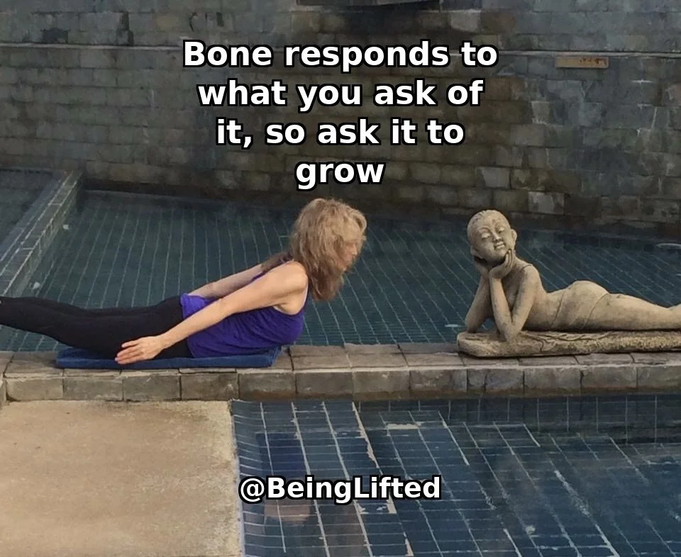 Osteoporosis Now What? Part 1: Power &amp; 