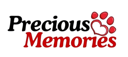 precious memories.png