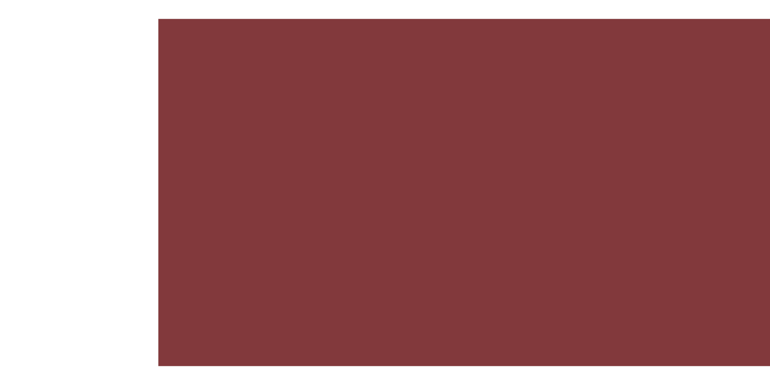 Solid black background with a large rectangular block of reddish-brown color.