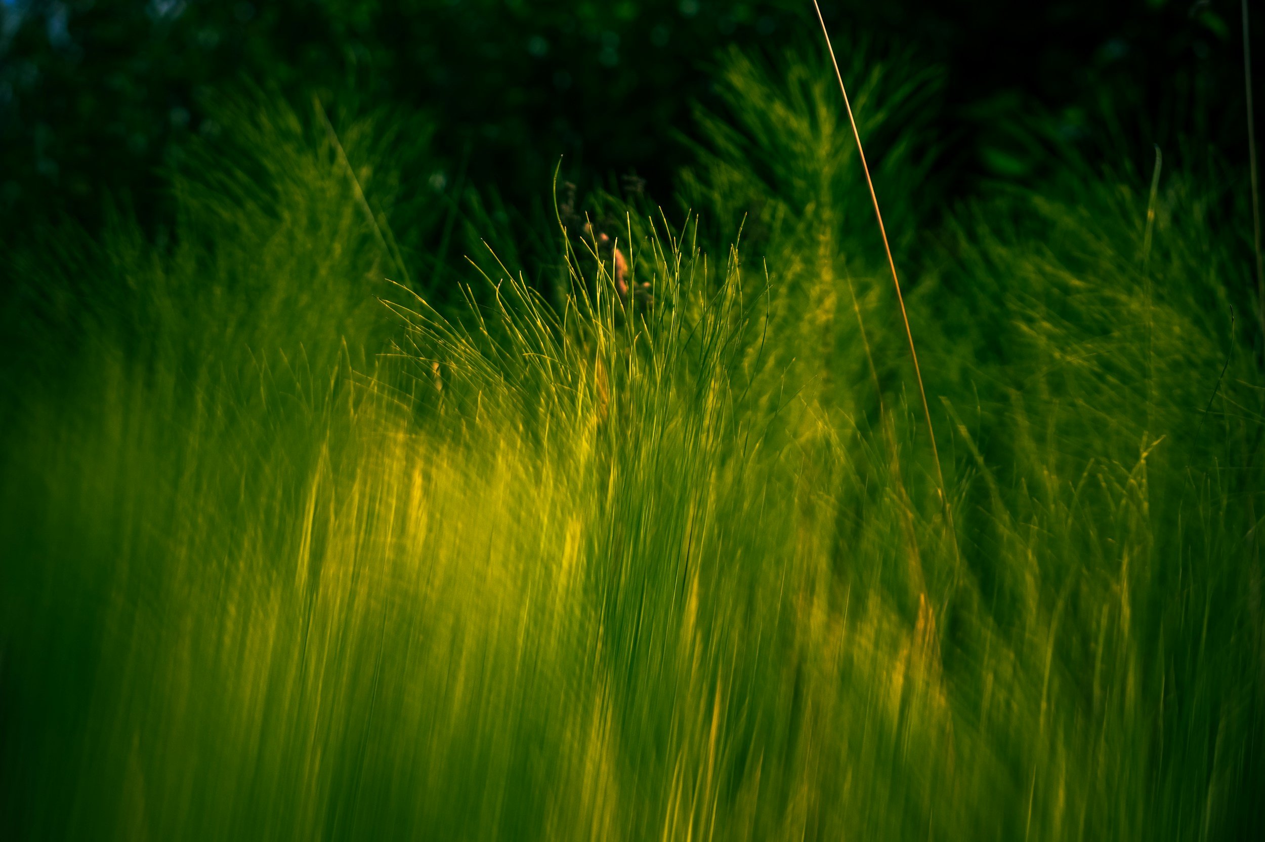 Book a 1:1 coaching session with Patricia