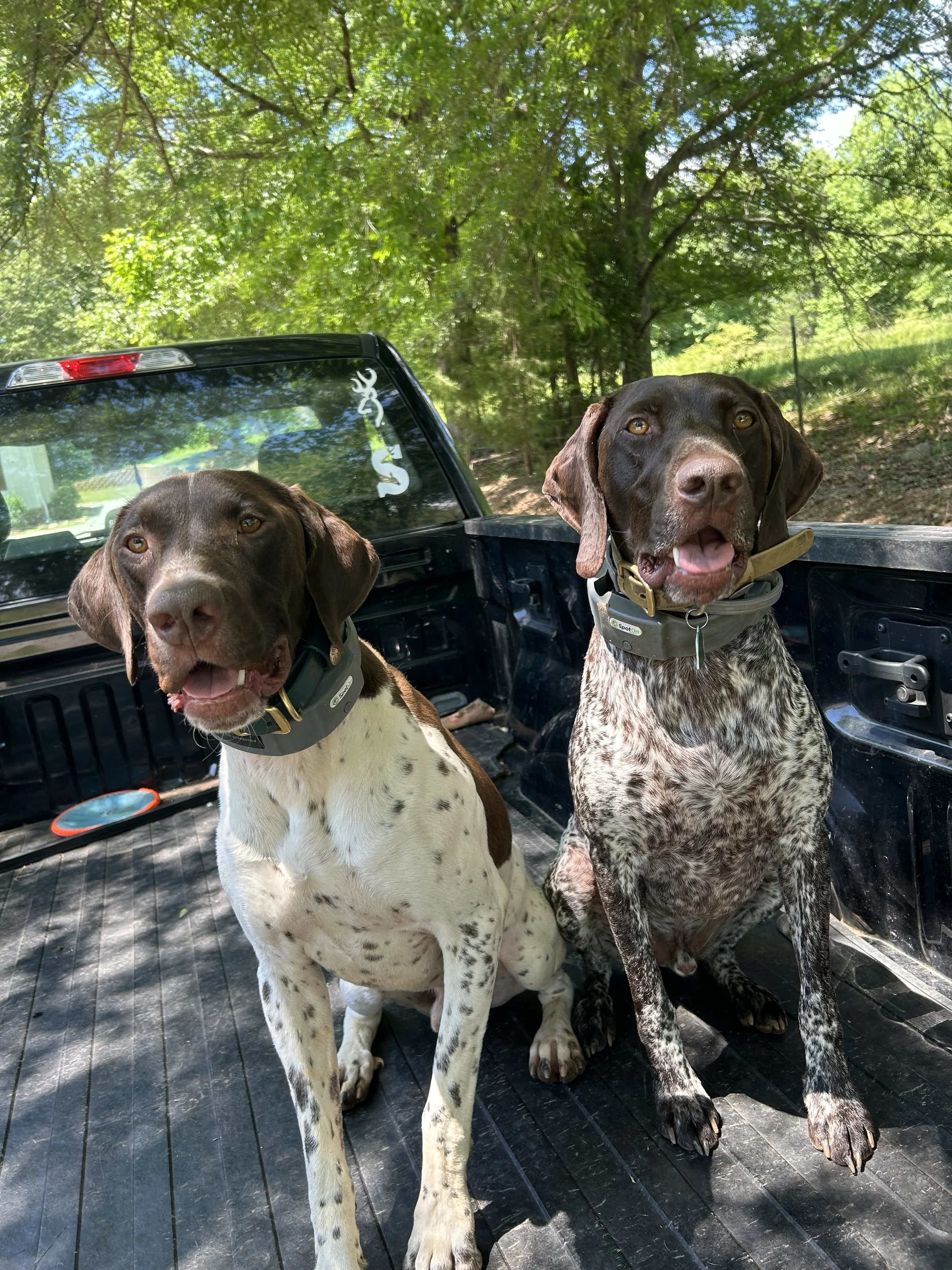 dacusville-sc-plumber