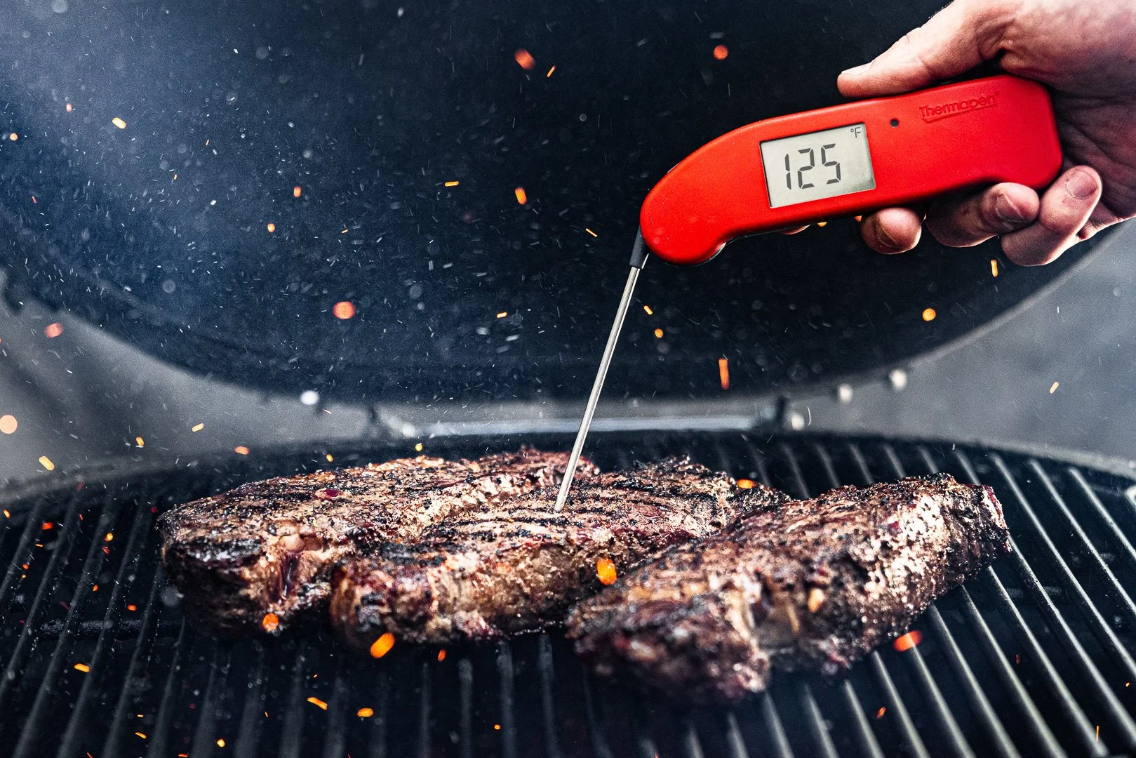 Thermapen® ONE: Precision in a Second