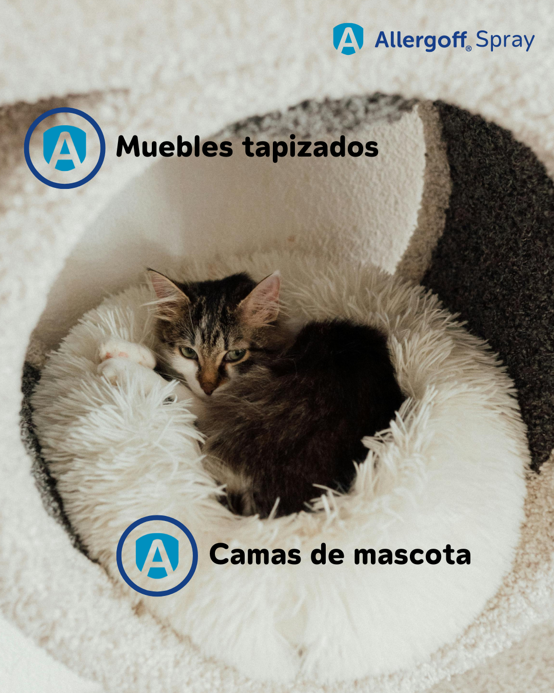 Aplicaciones Allergoff web_3.png