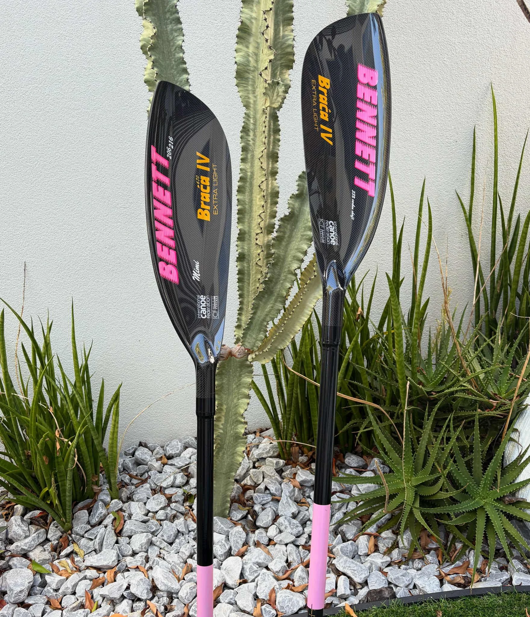 Bennett x Braca IV Surf Ski paddle with pink shaft and black shrink wrap, placed in front of a cactus plant and surrounded by greenery and rocks.